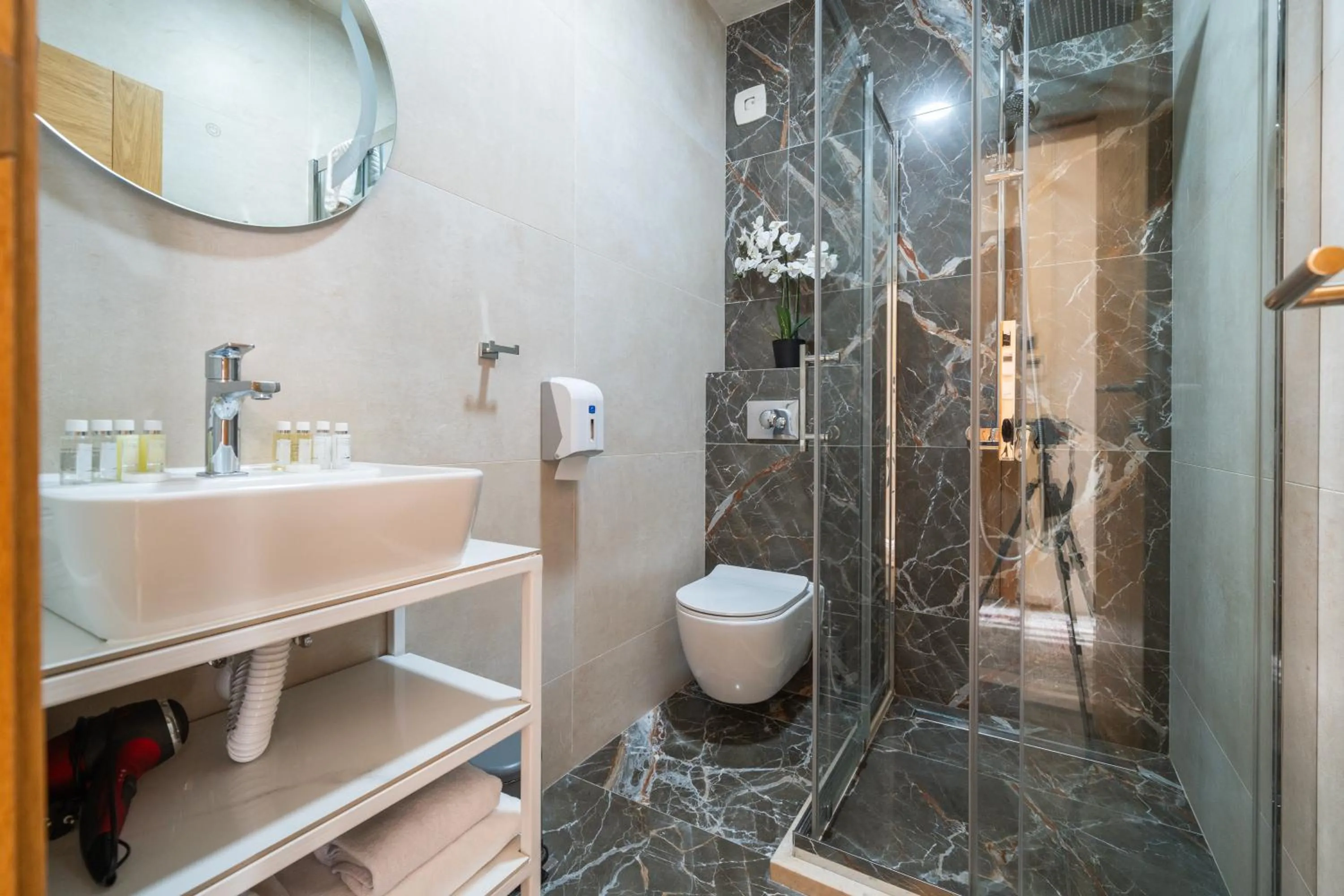 Toilet in Hotel Alexandar Lux