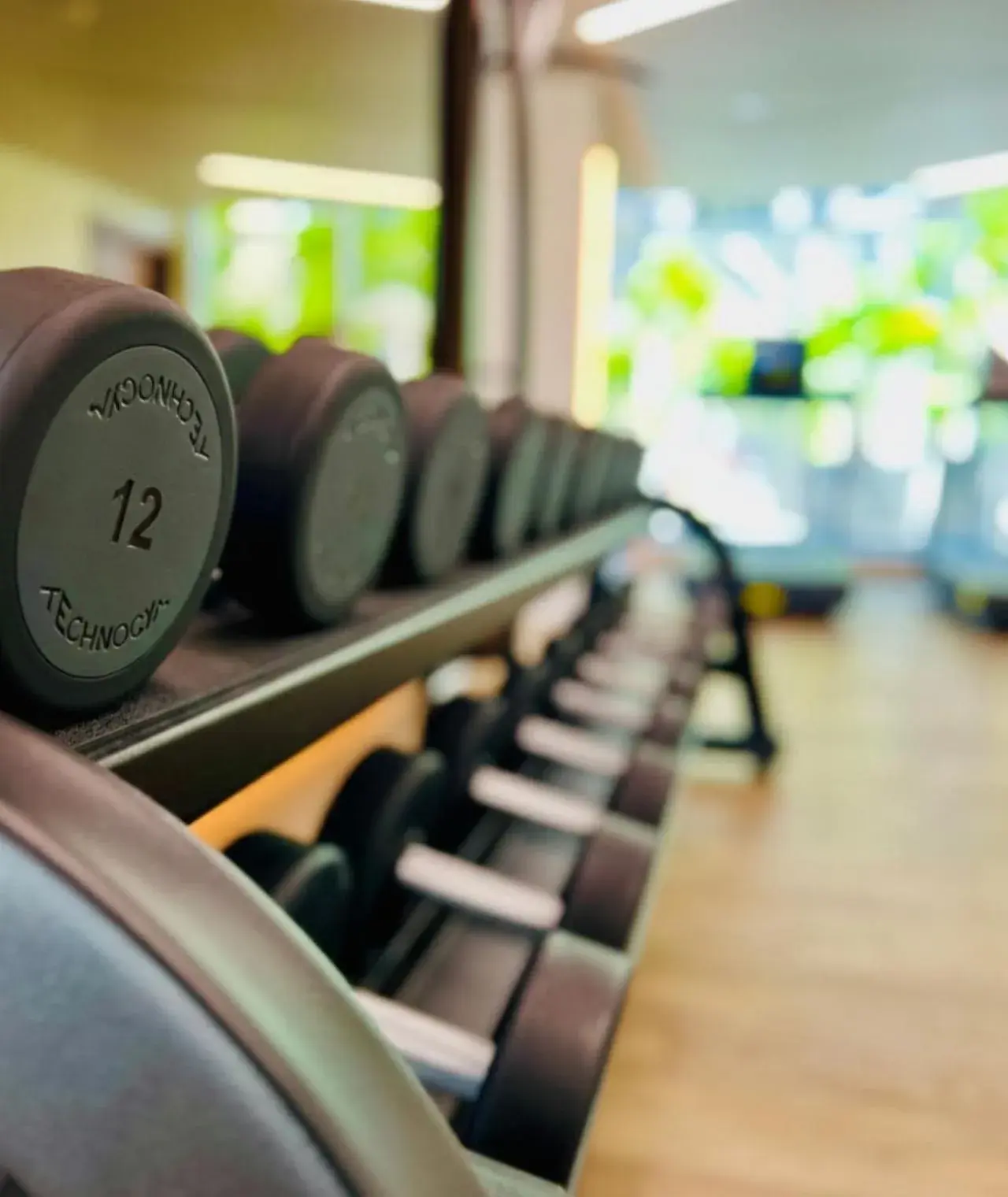 Fitness centre/facilities in Millennium Central Downtown - Dubai Fitness centre/facilities in Millennium Central Downtown - Dubai