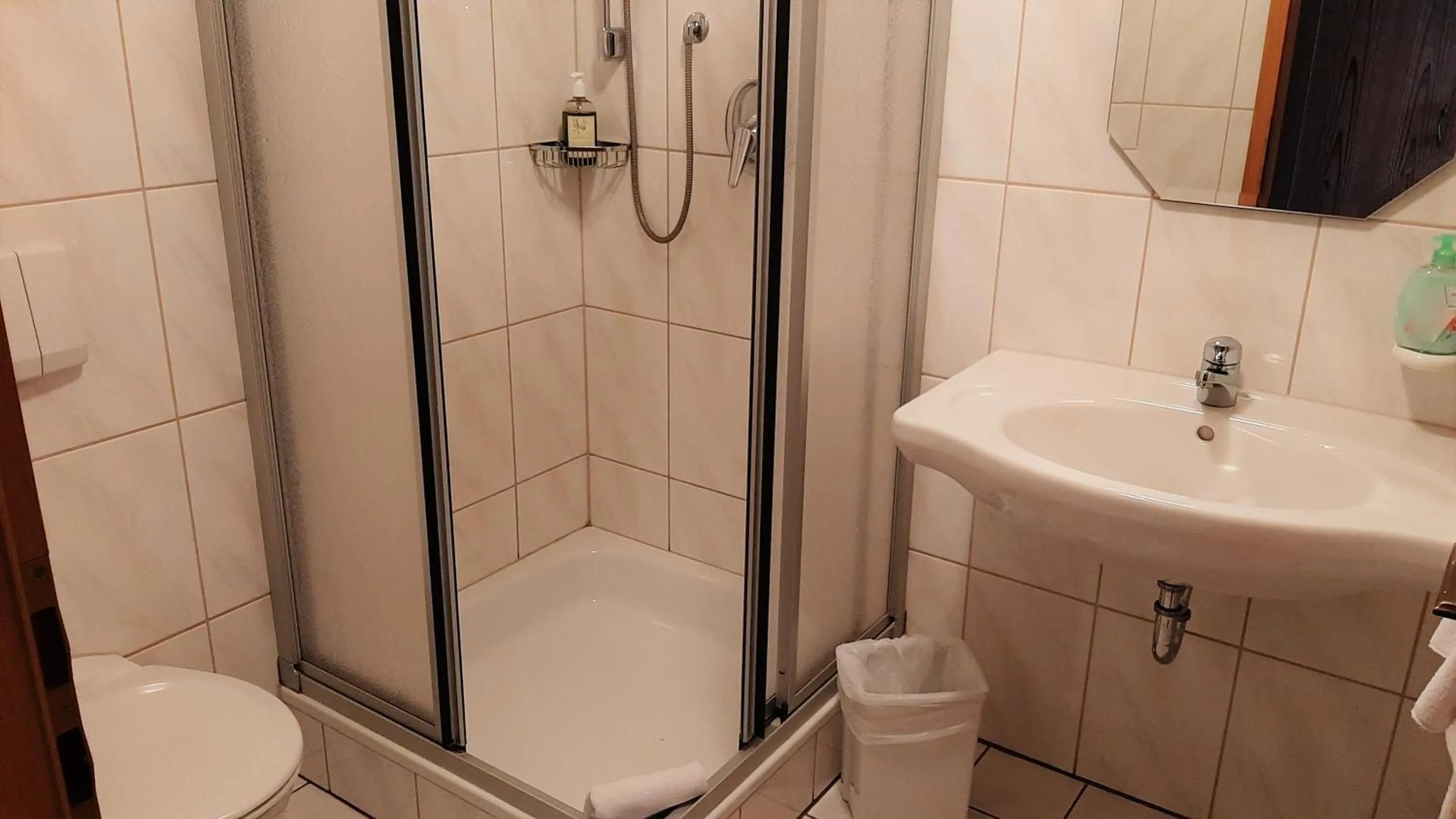 Bathroom in Landgasthof Schwarz