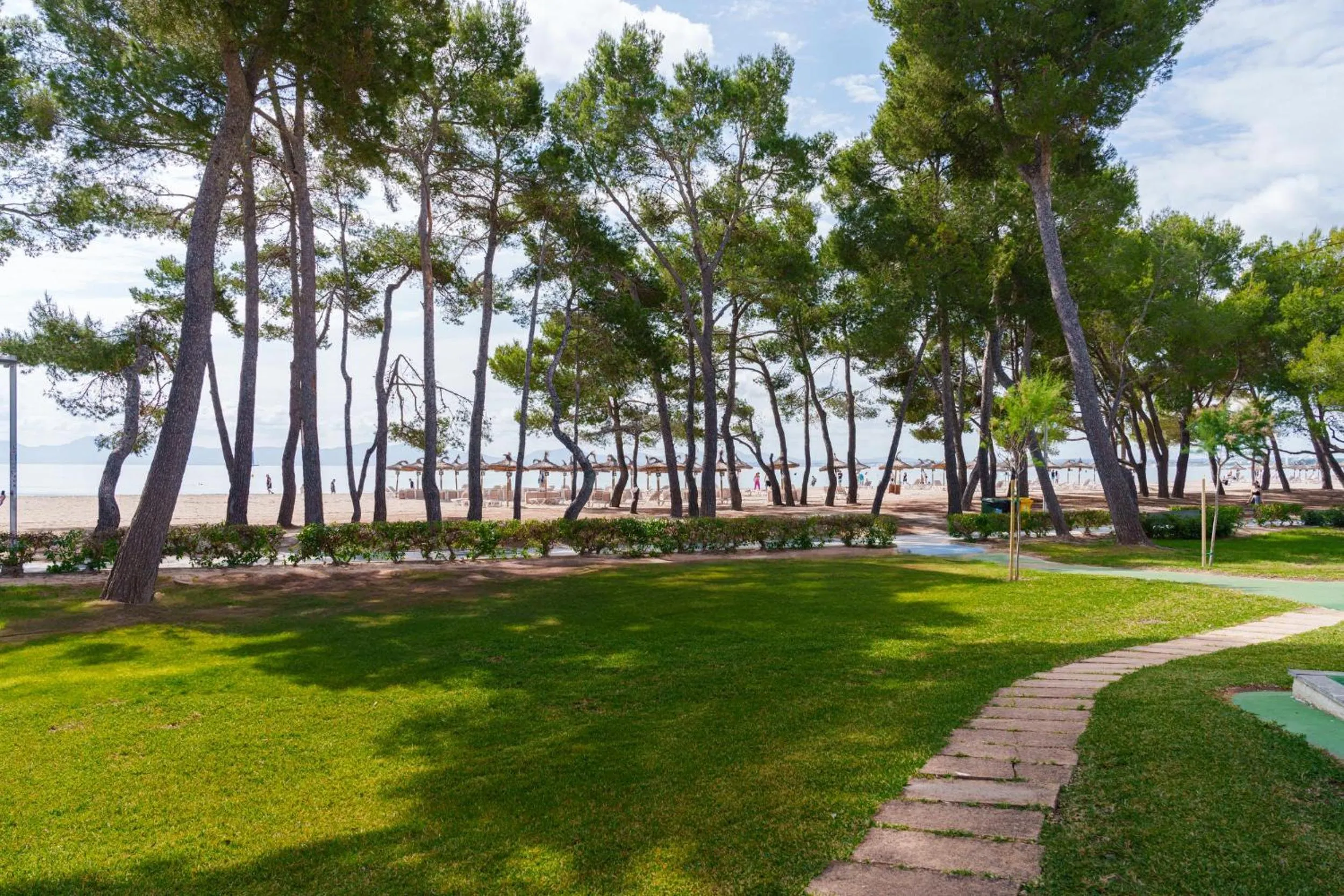 Beach in Apartamentos Ferrer Lime Playa de Alcudia