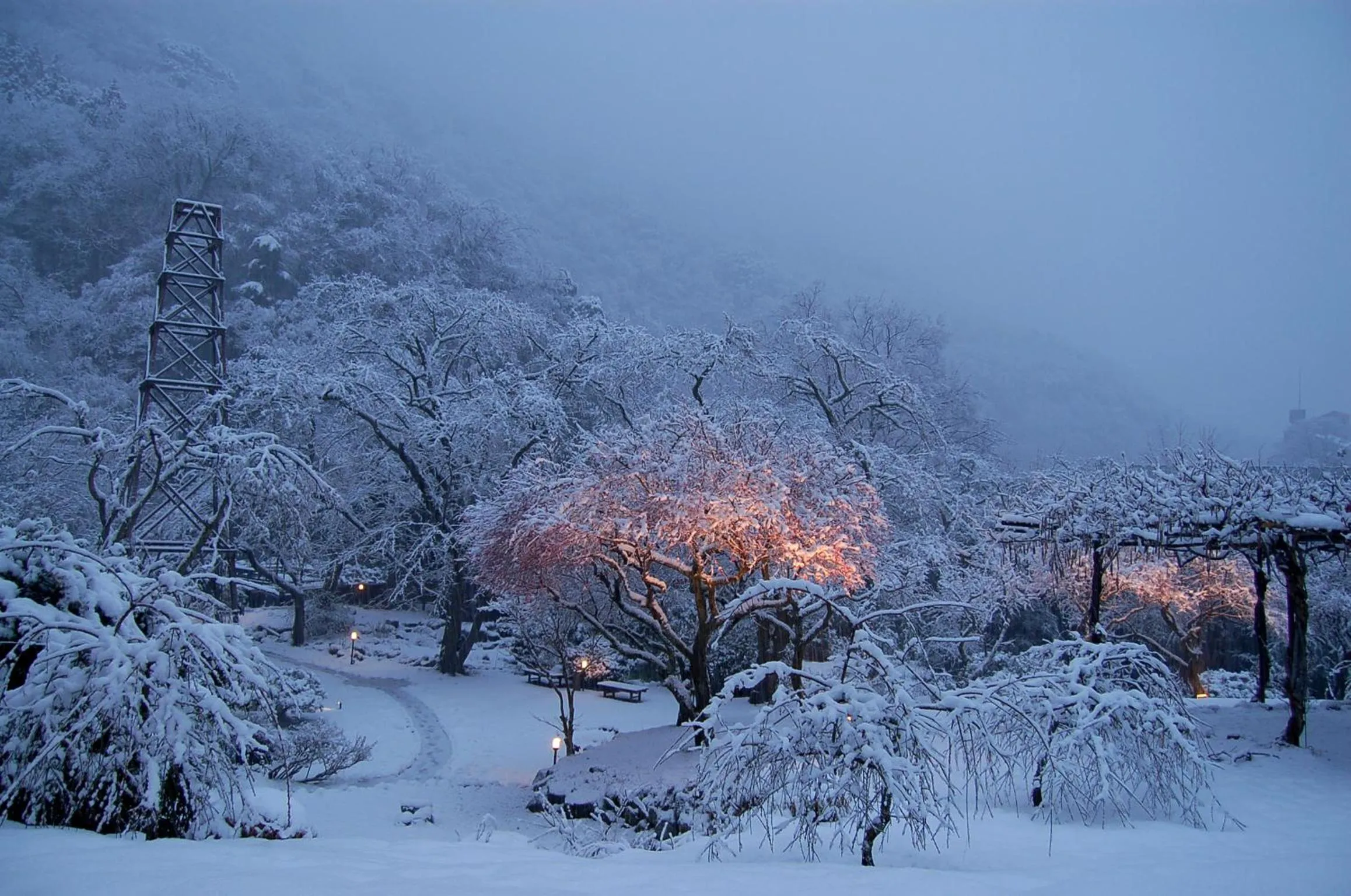 Natural landscape, Winter in Ryokan Kijitei Hoeiso