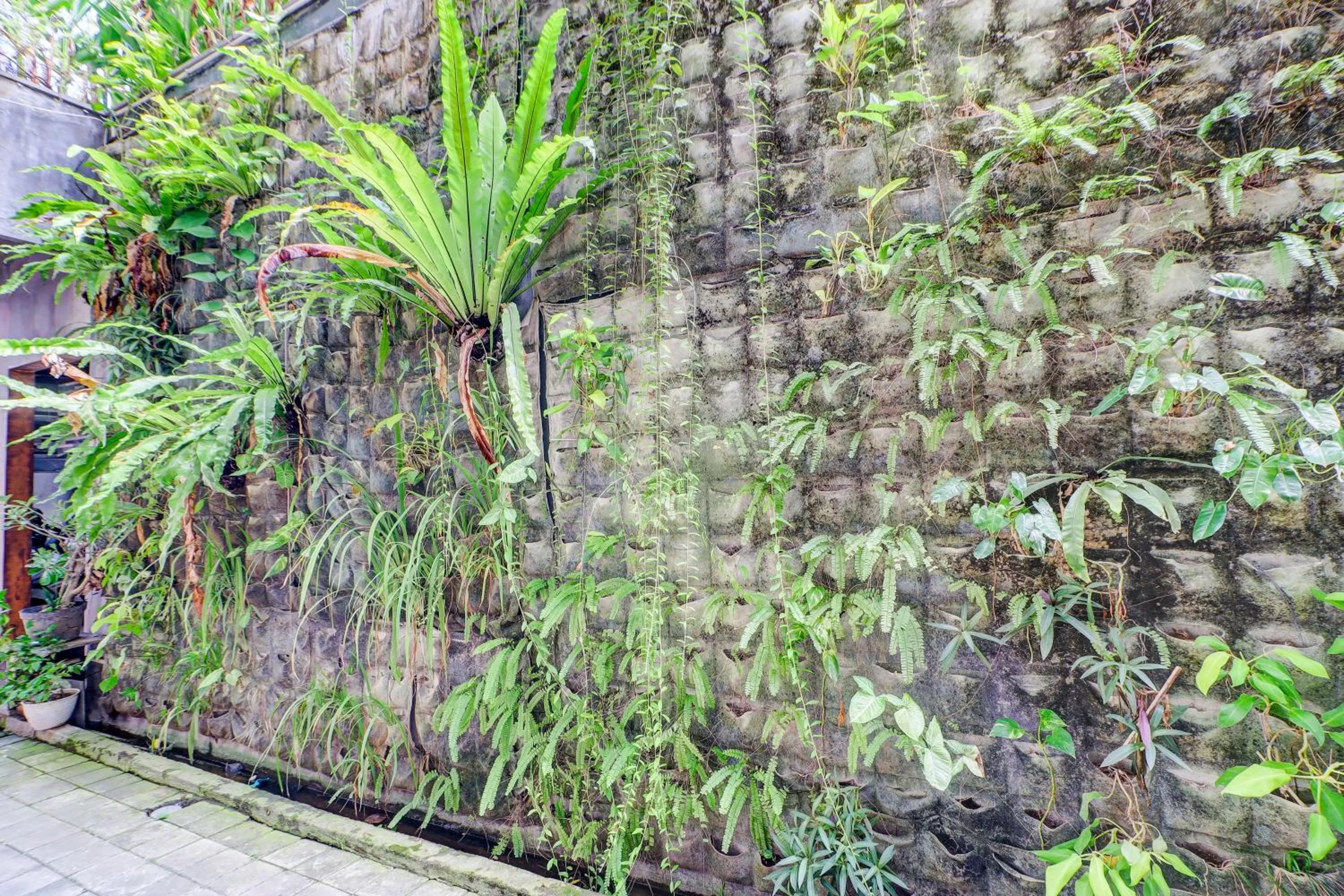 Area and facilities in Collection O Bali near Sanur Beach formerly Akarsa Kokoro