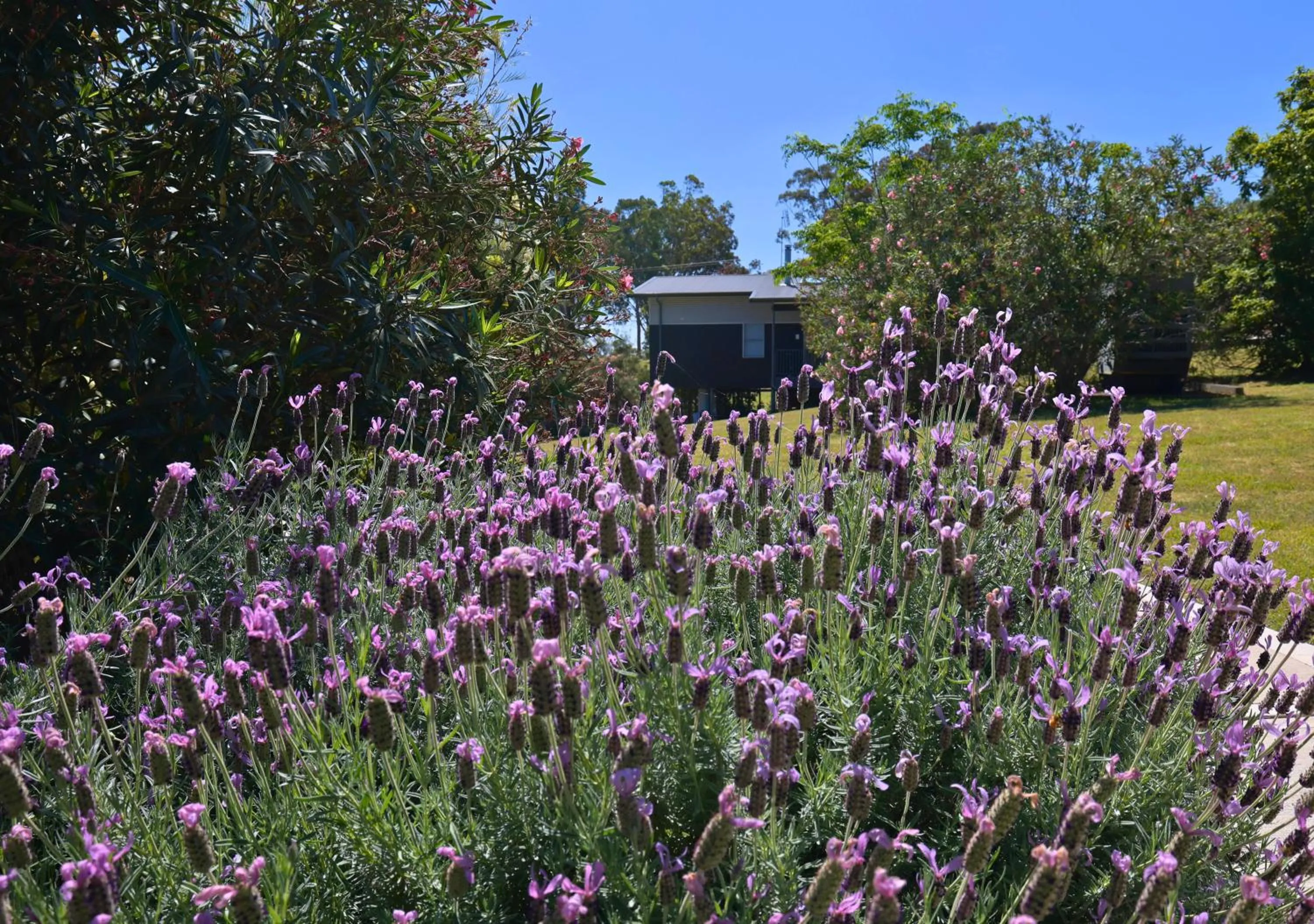 Natural landscape in Beltana Villas