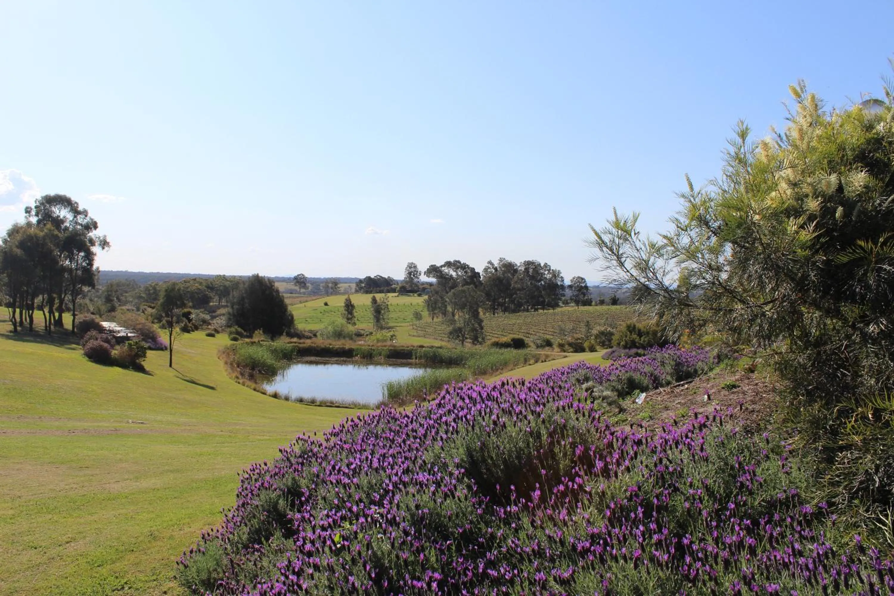 Garden in Beltana Villas