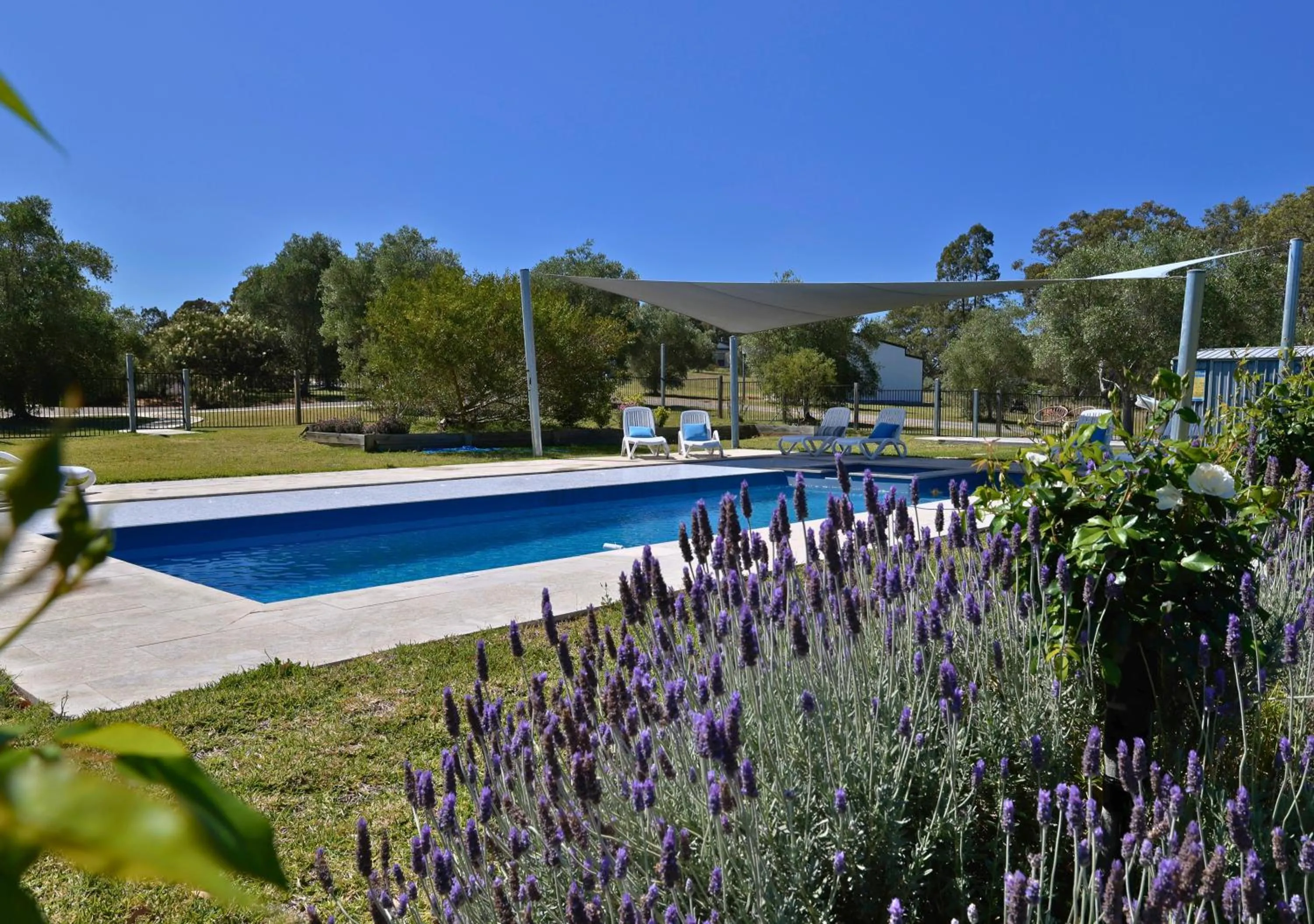 Swimming pool in Beltana Villas