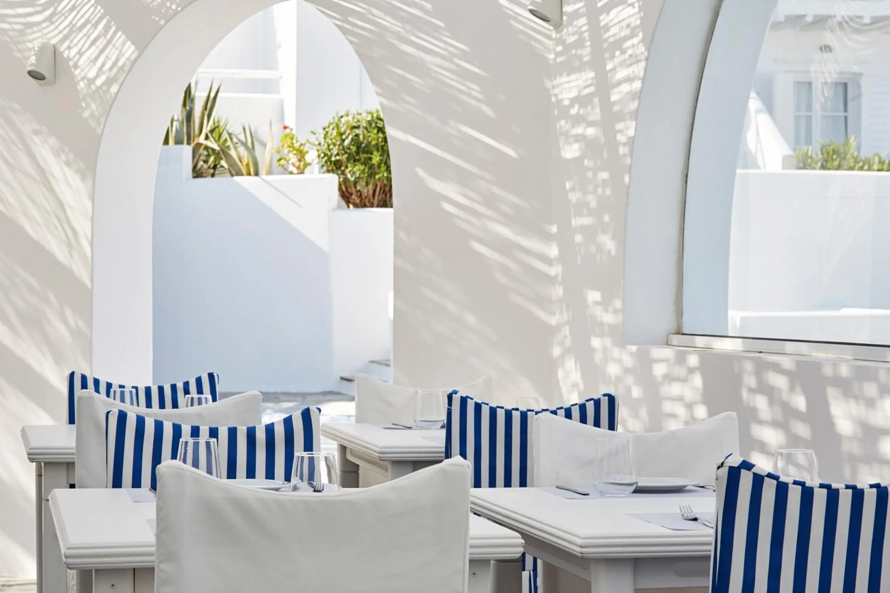 Restaurant/places to eat in Mr. and Mrs. White Tinos Restaurant/places to eat in Mr. and Mrs. White Tinos