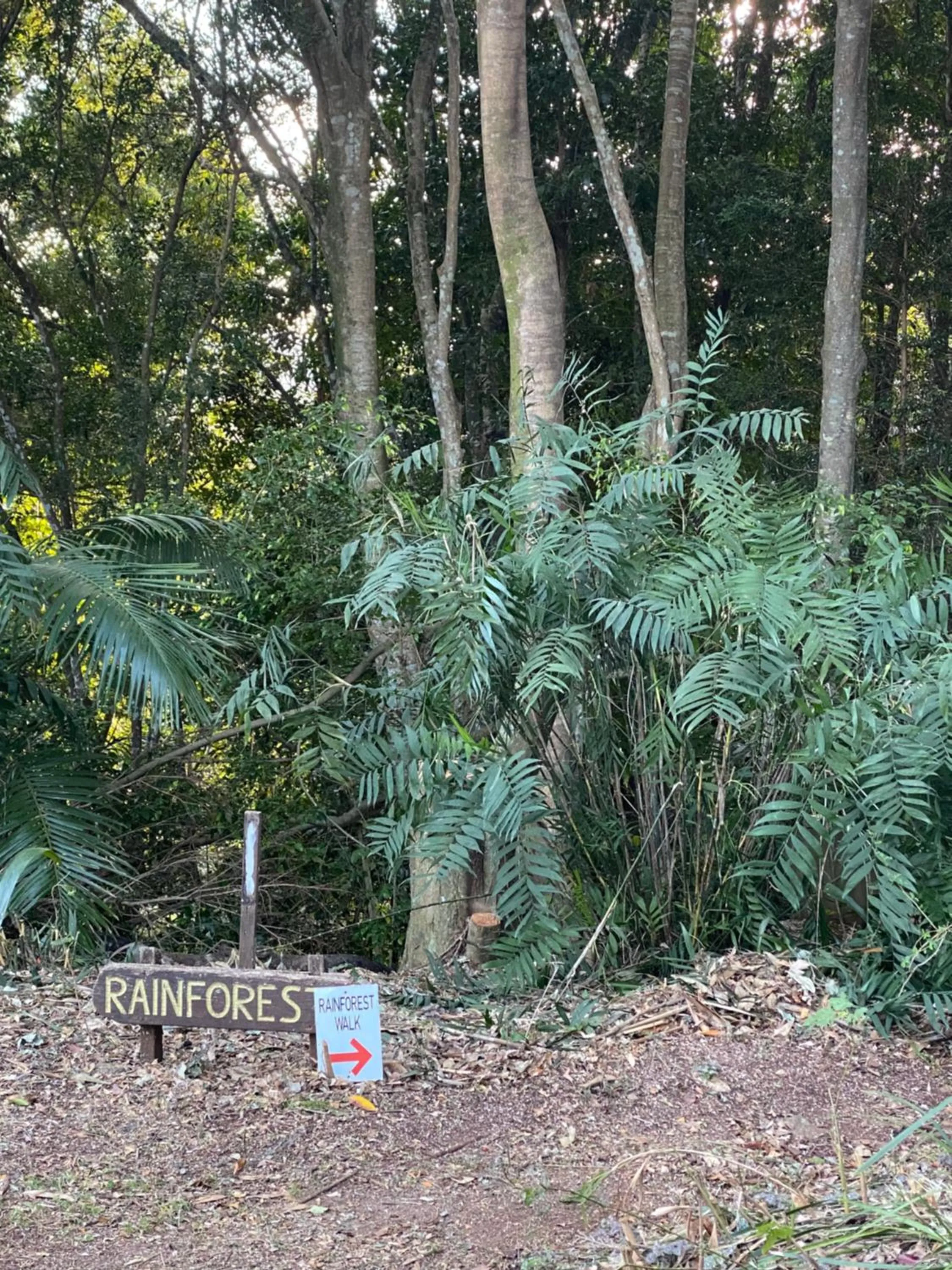 Natural landscape in Clouds Mapleton