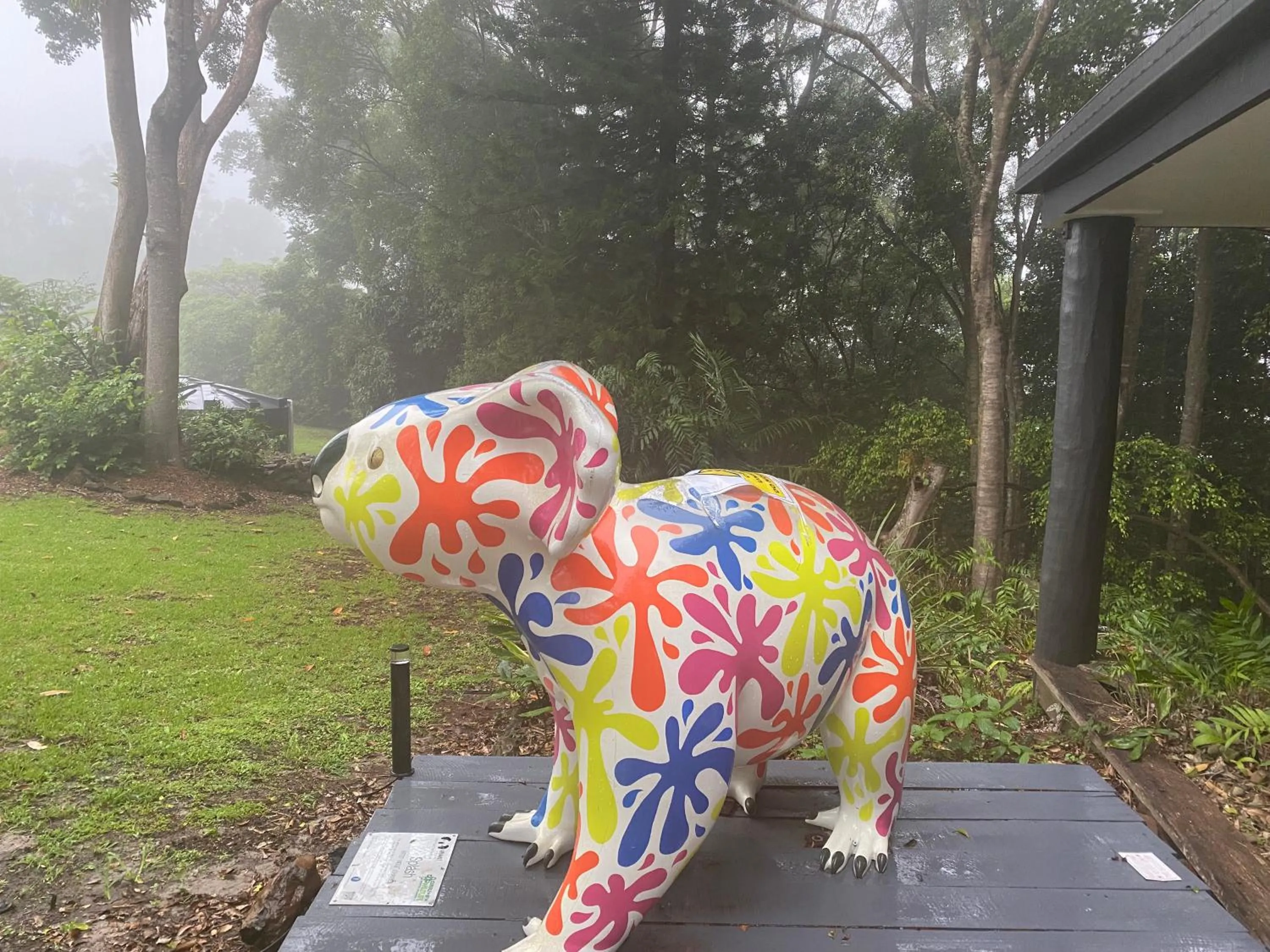 Property building in Clouds Mapleton