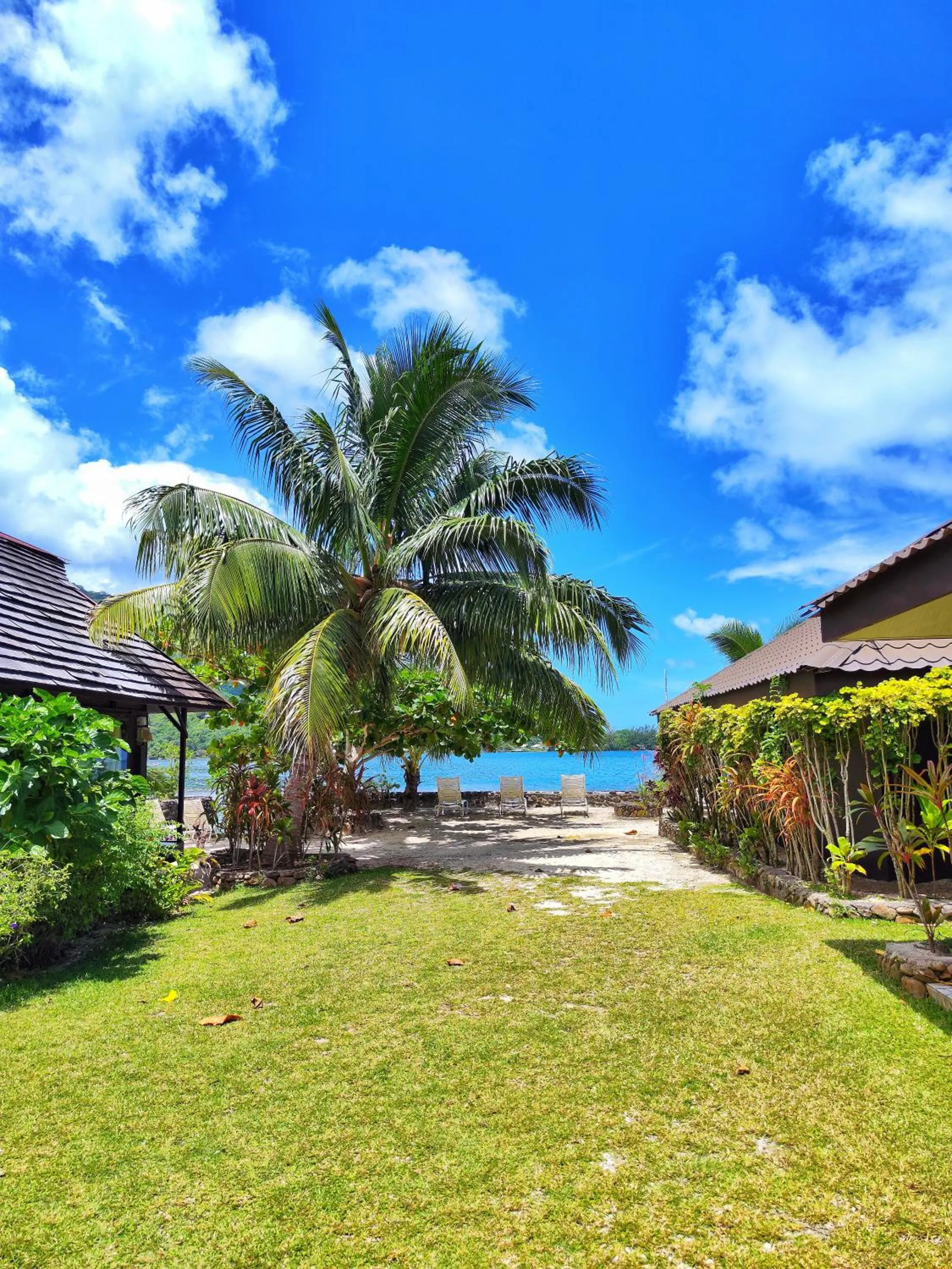 Garden view in Hotel Kaveka
