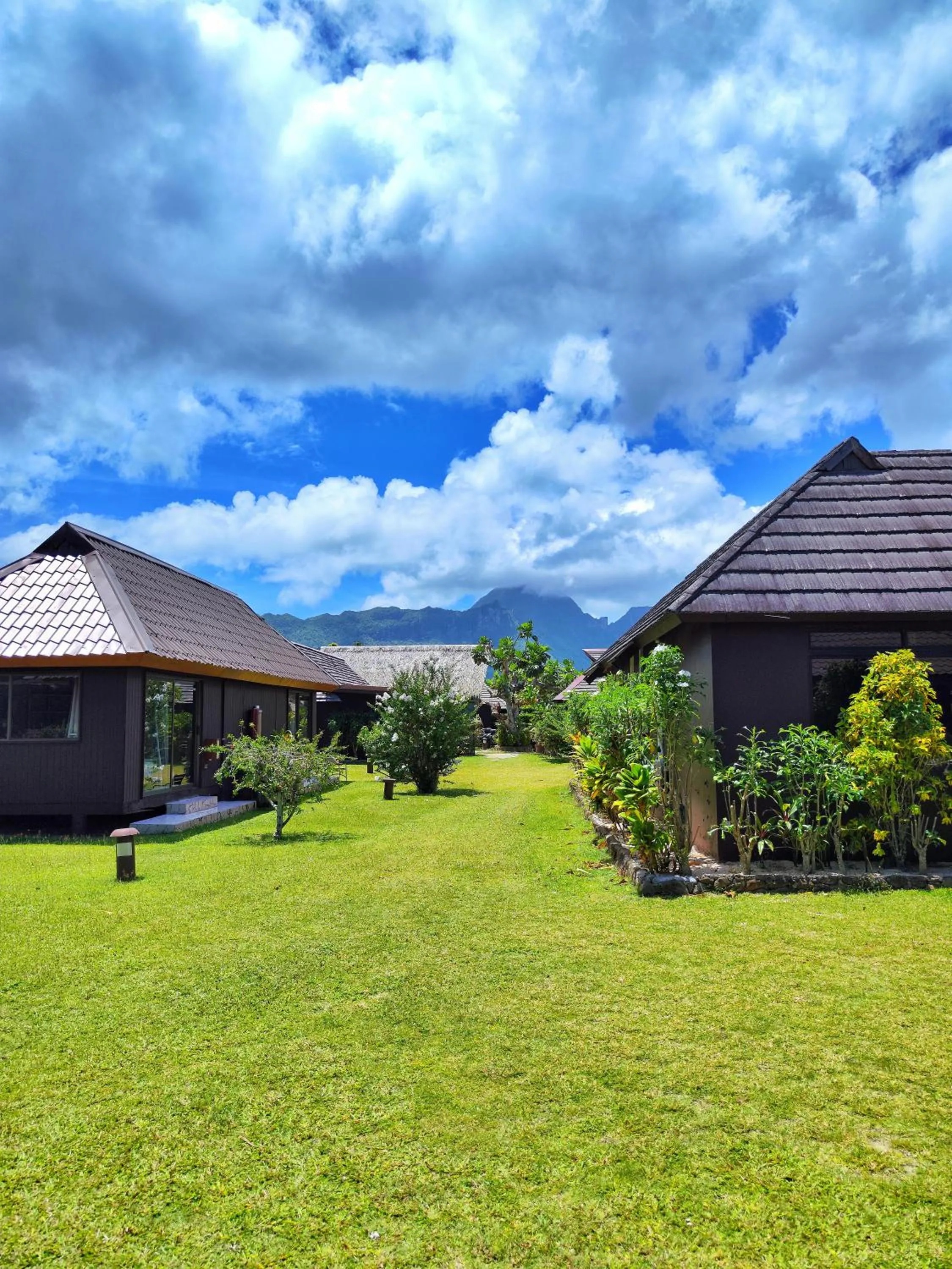 Garden view in Hotel Kaveka