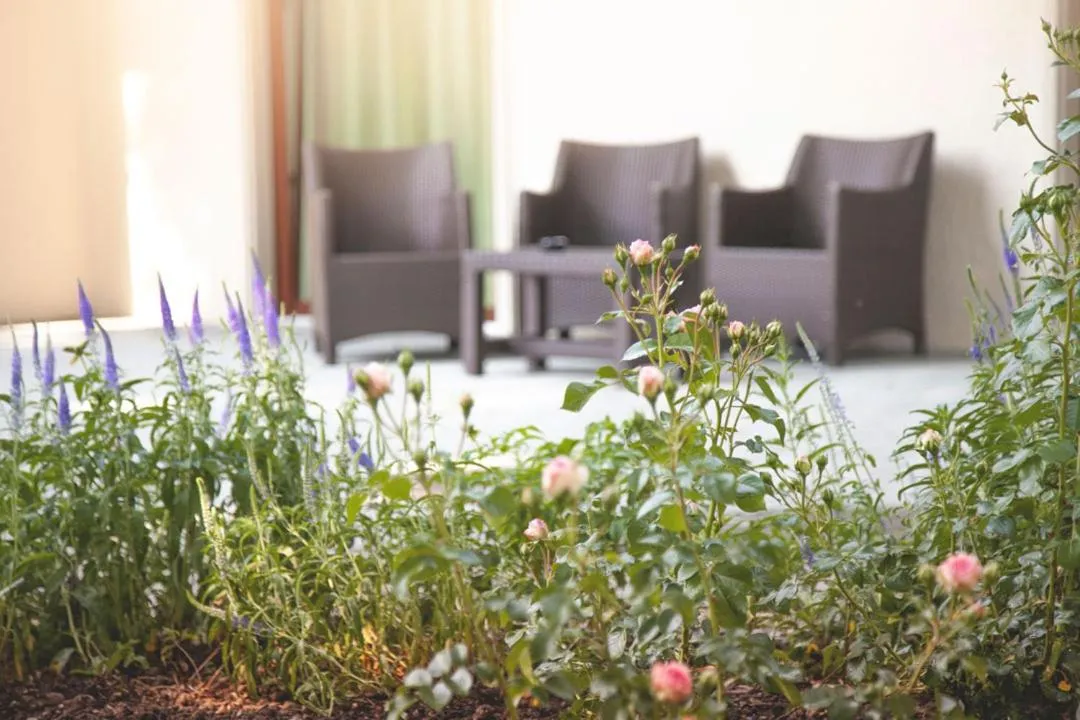 Day in Centro Magliaso