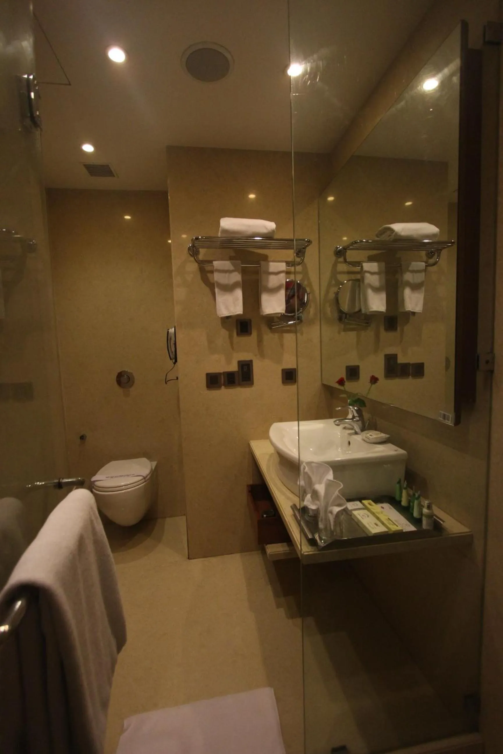 Bathroom in The Cambay Grand