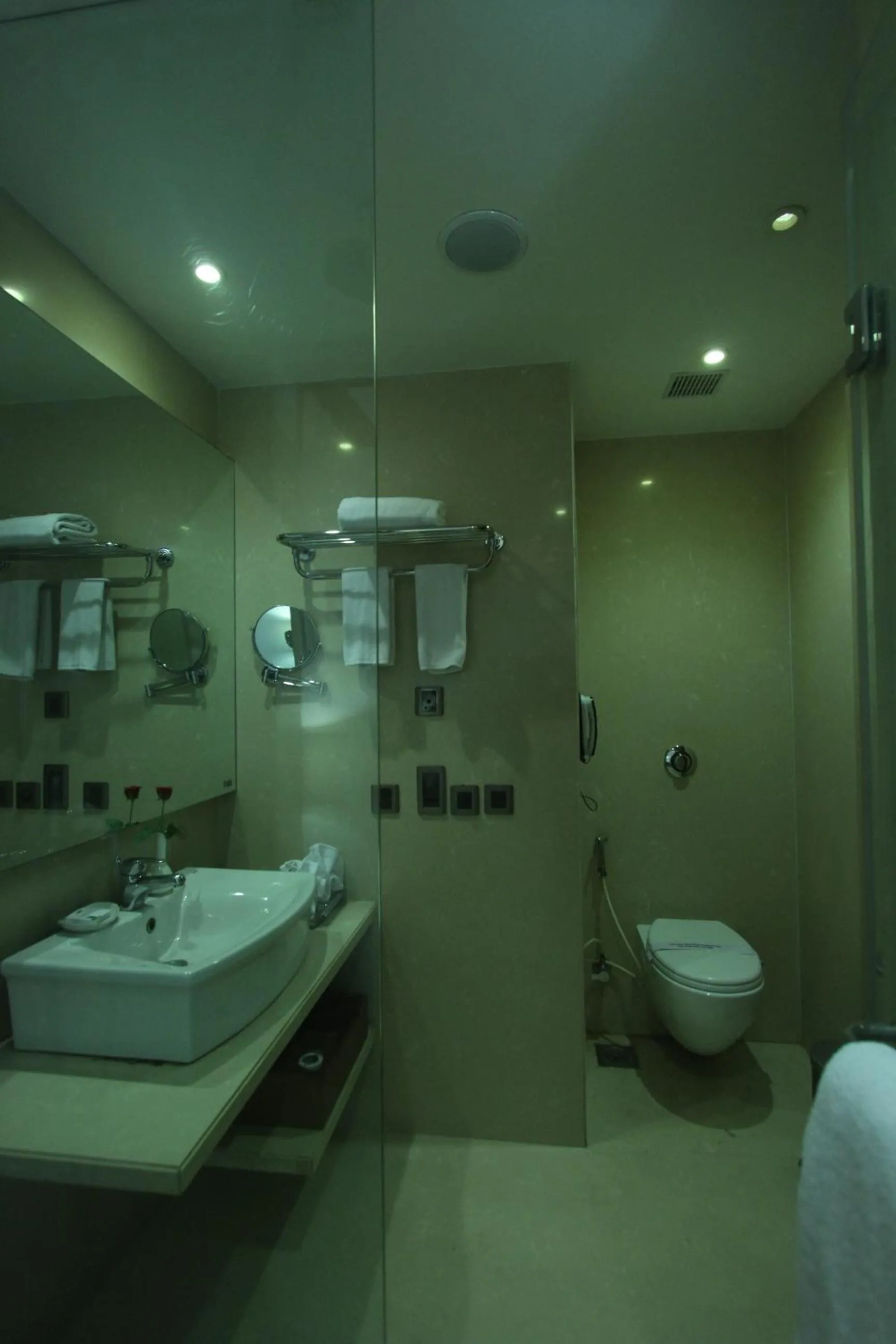 Bathroom in The Cambay Grand