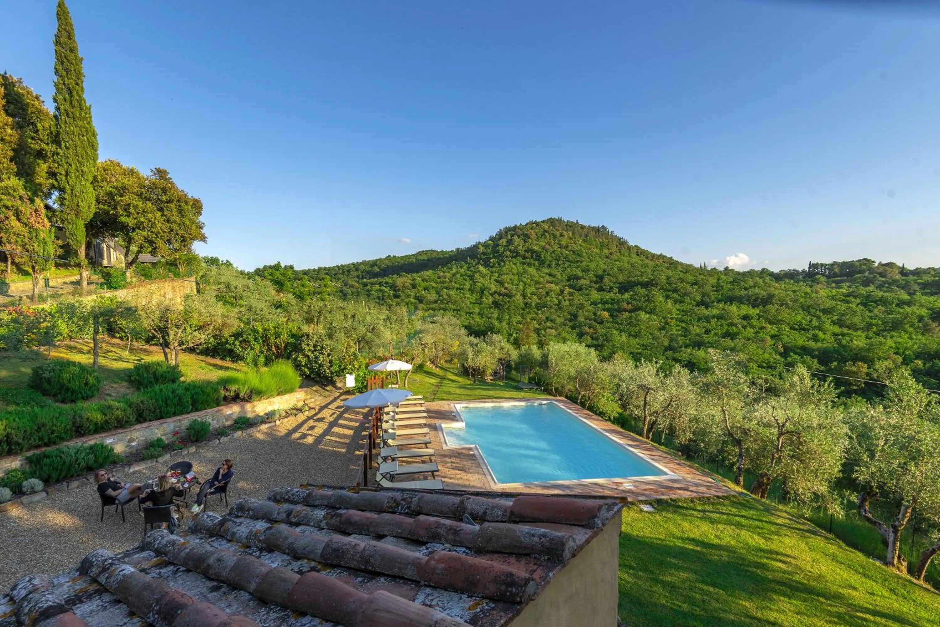 Swimming pool in B&B Country House Poggio Del Drago