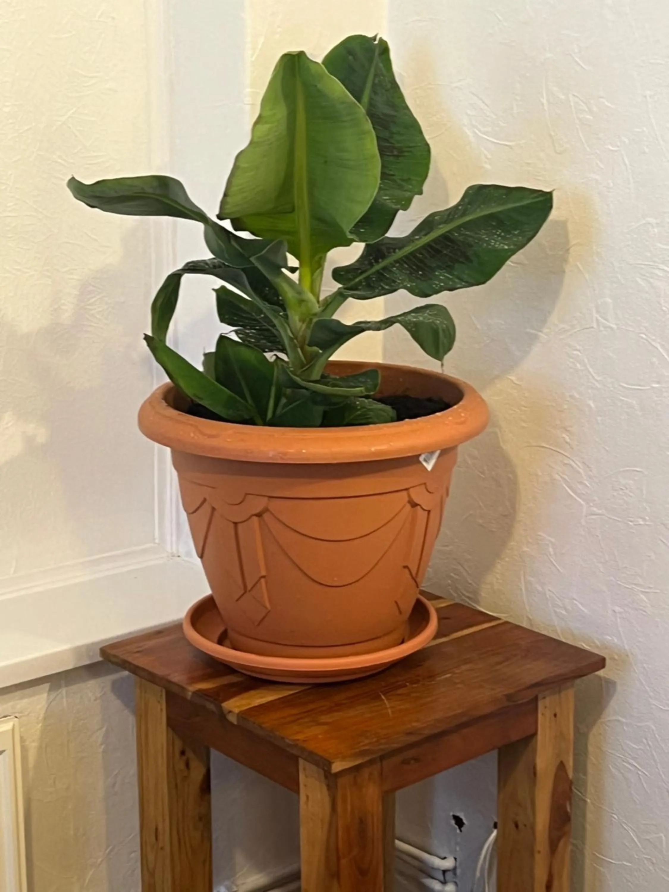 The Northdale Hotel Ltd