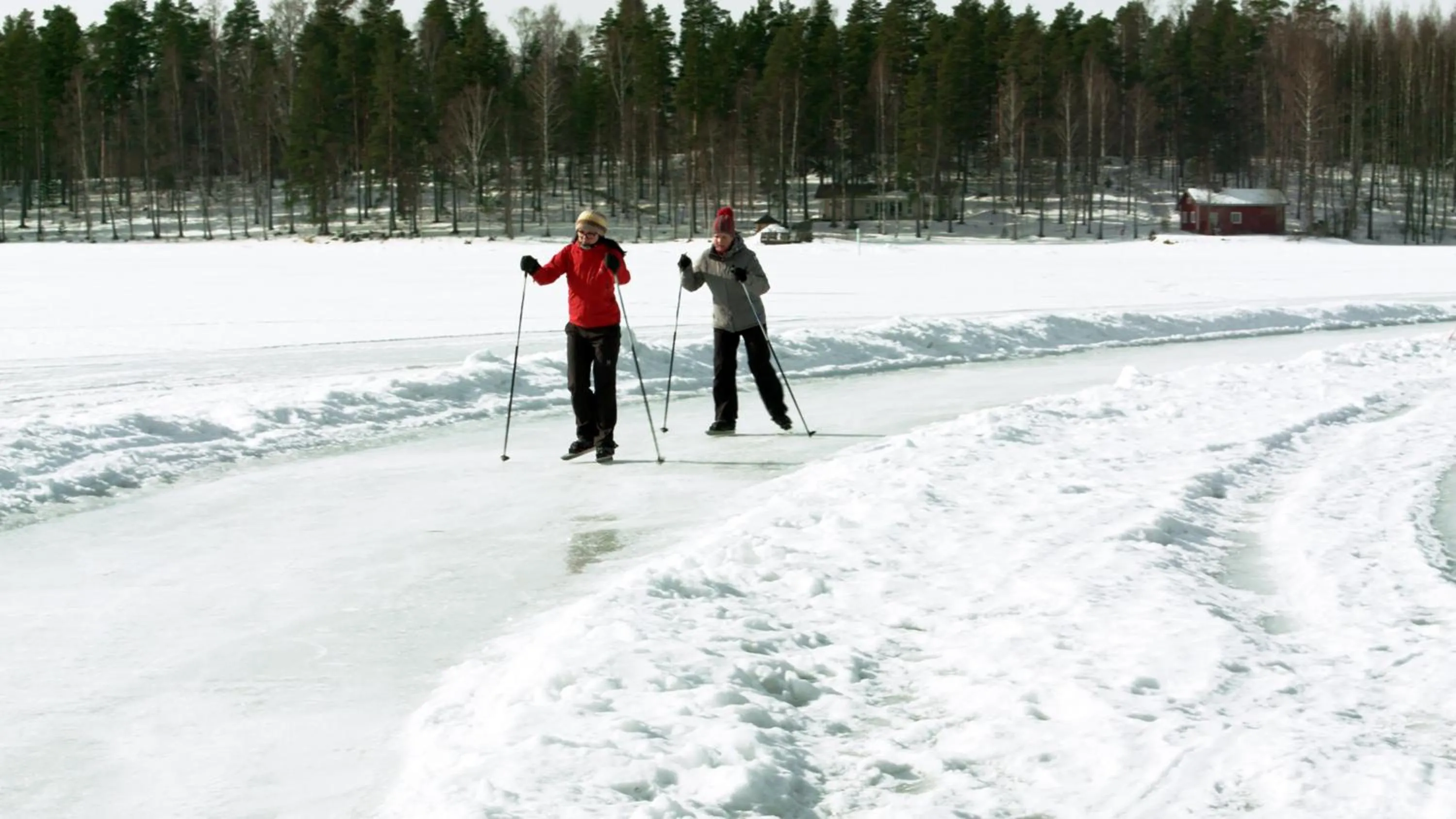 Neighbourhood in Hotel Kruunupuisto