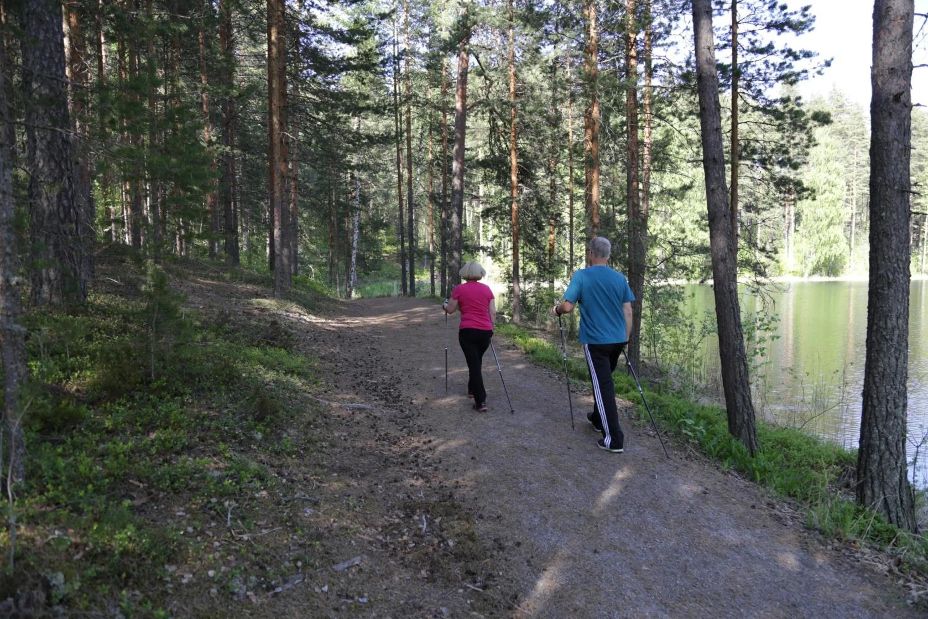 Natural landscape in Hotel Kruunupuisto