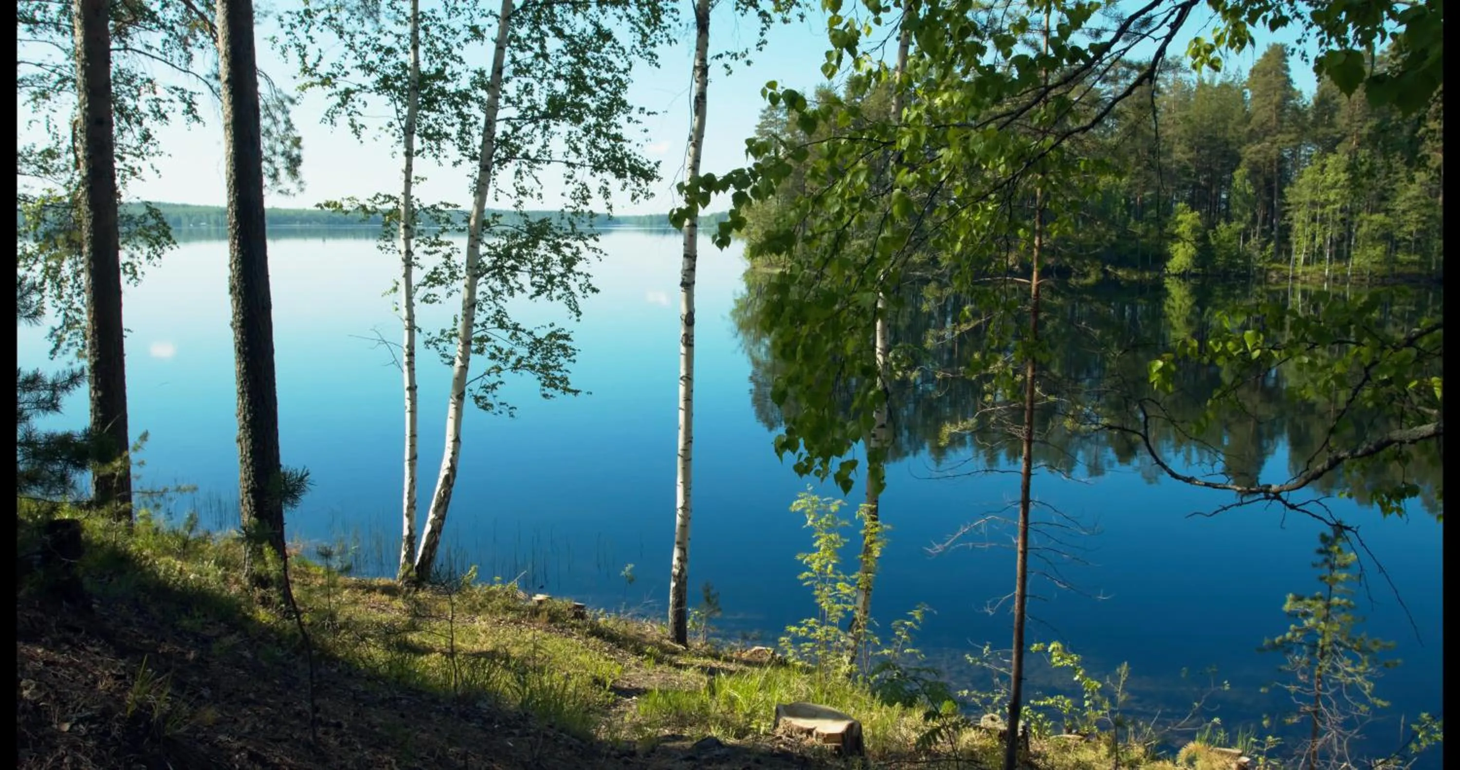 Neighbourhood in Hotel Kruunupuisto