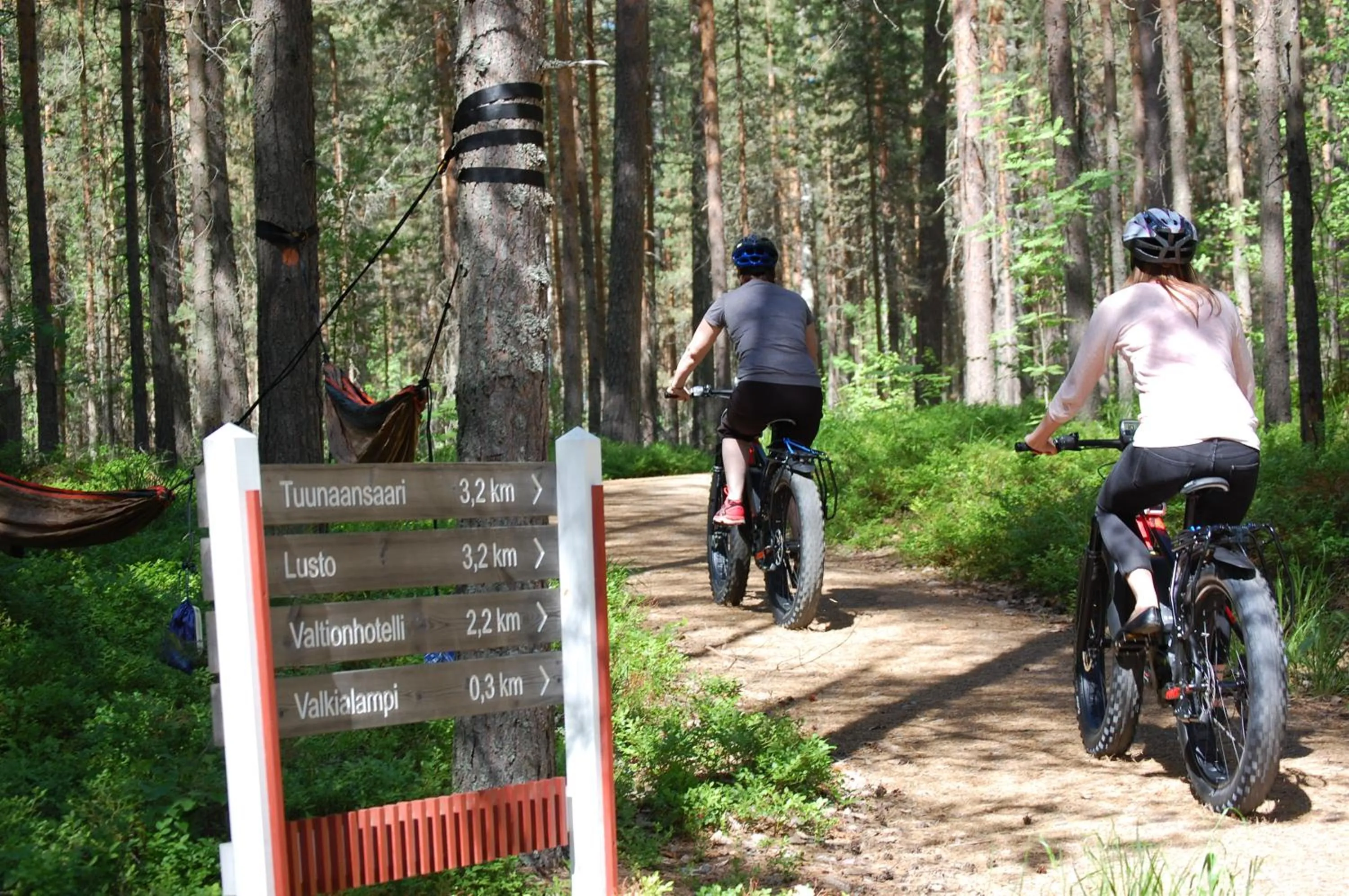 Neighbourhood in Hotel Kruunupuisto