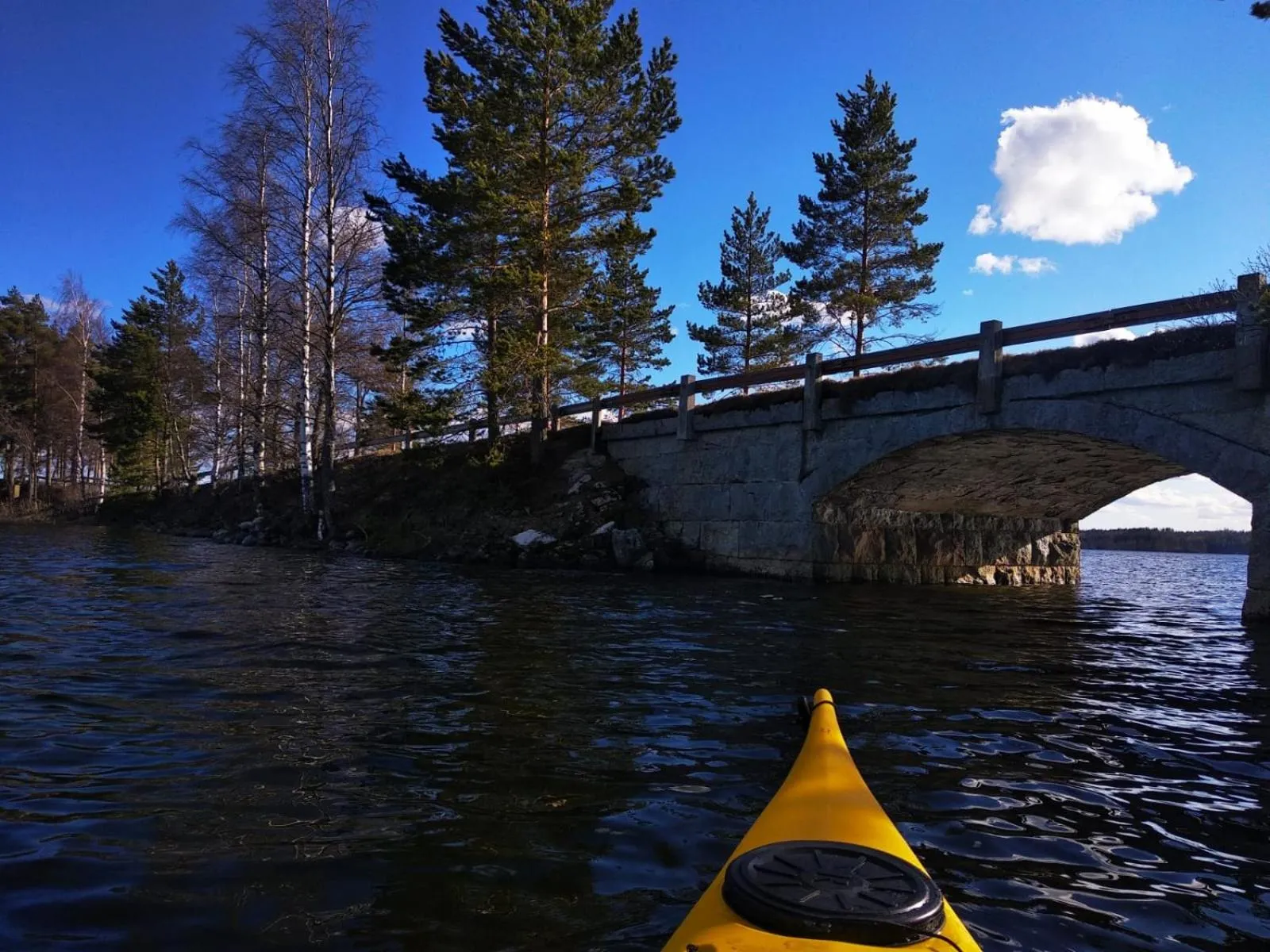Natural landscape in Hotel Kruunupuisto