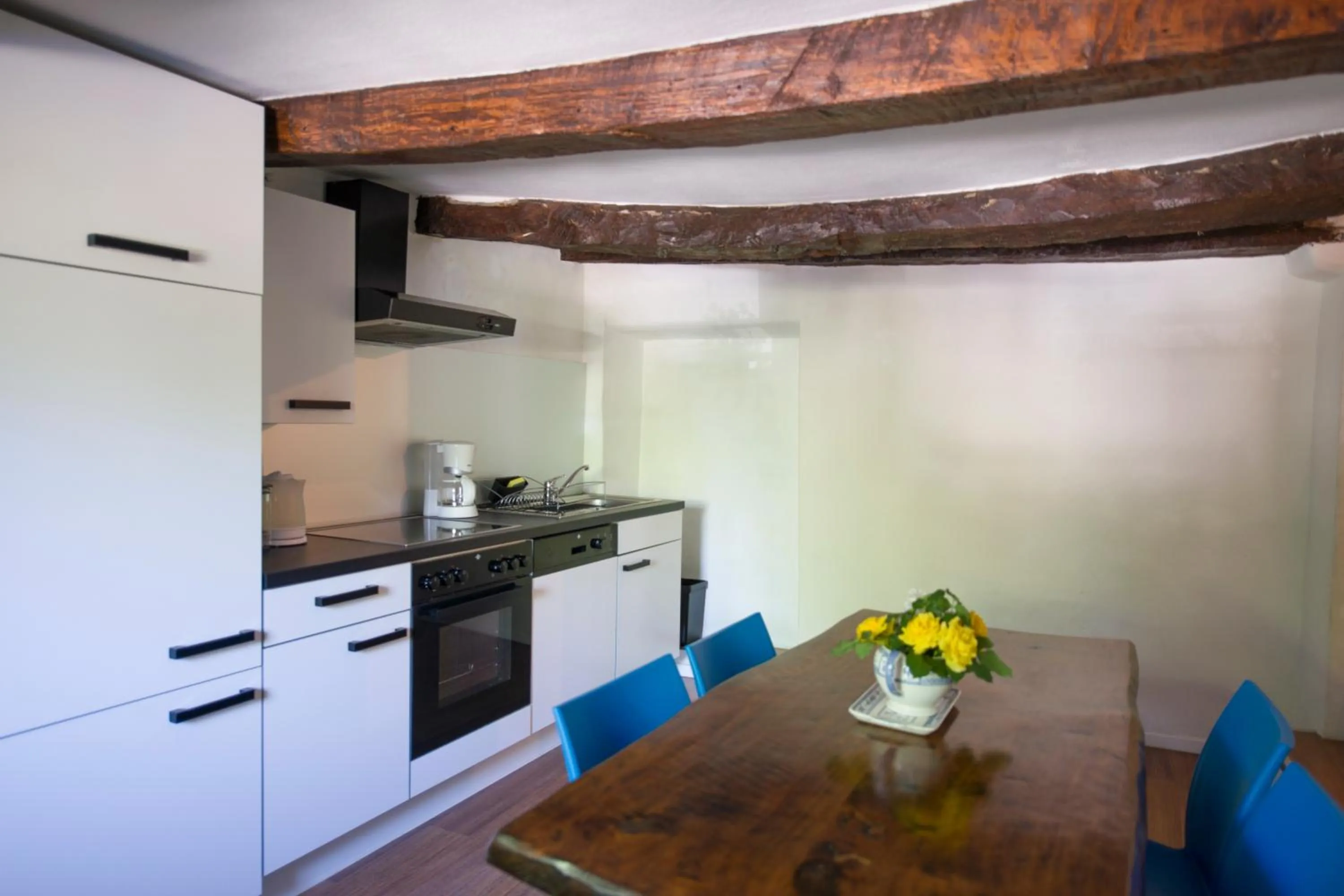 Kitchen or kitchenette in Alloggi Alla Cantina