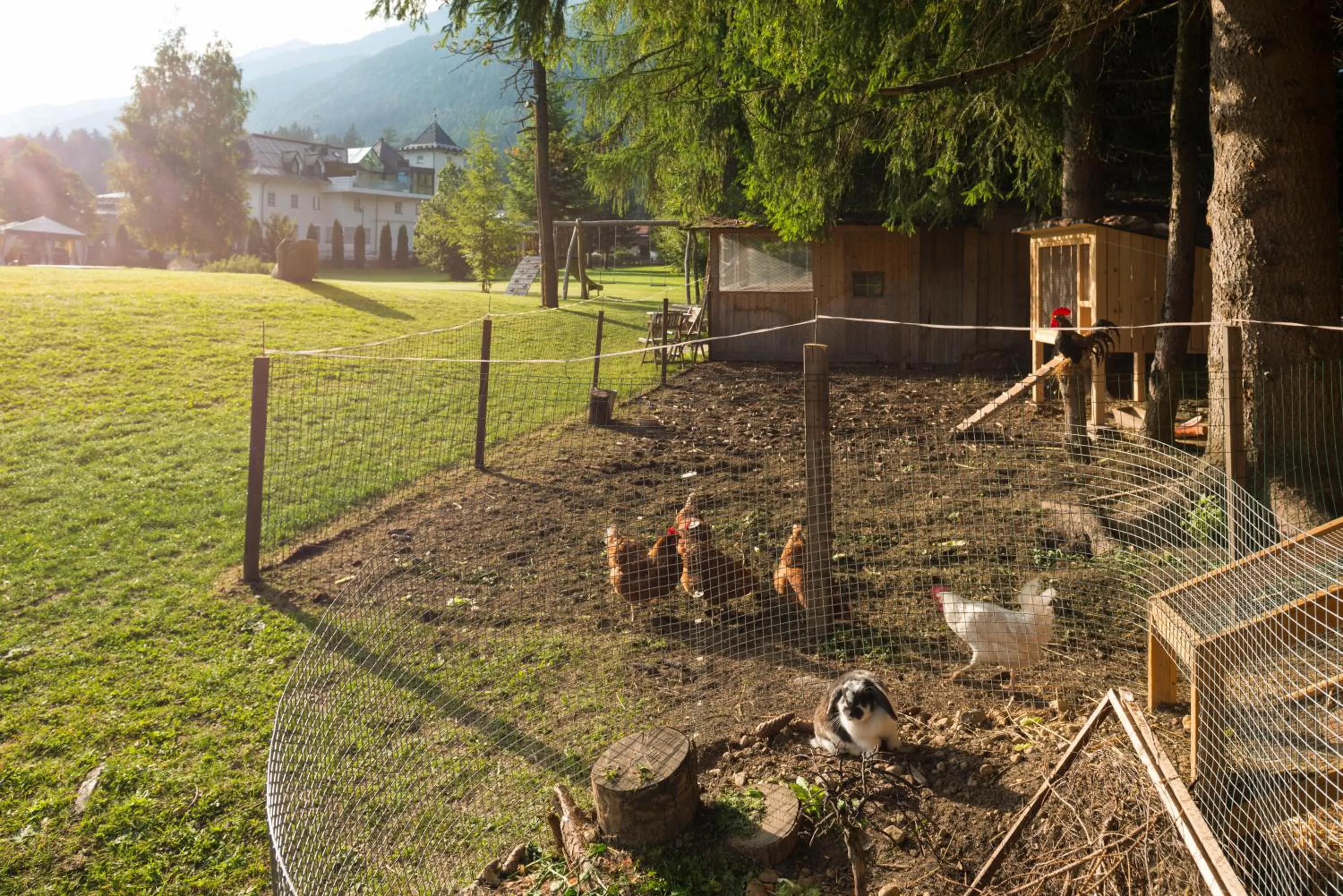 Summer in Apparthotel Germania