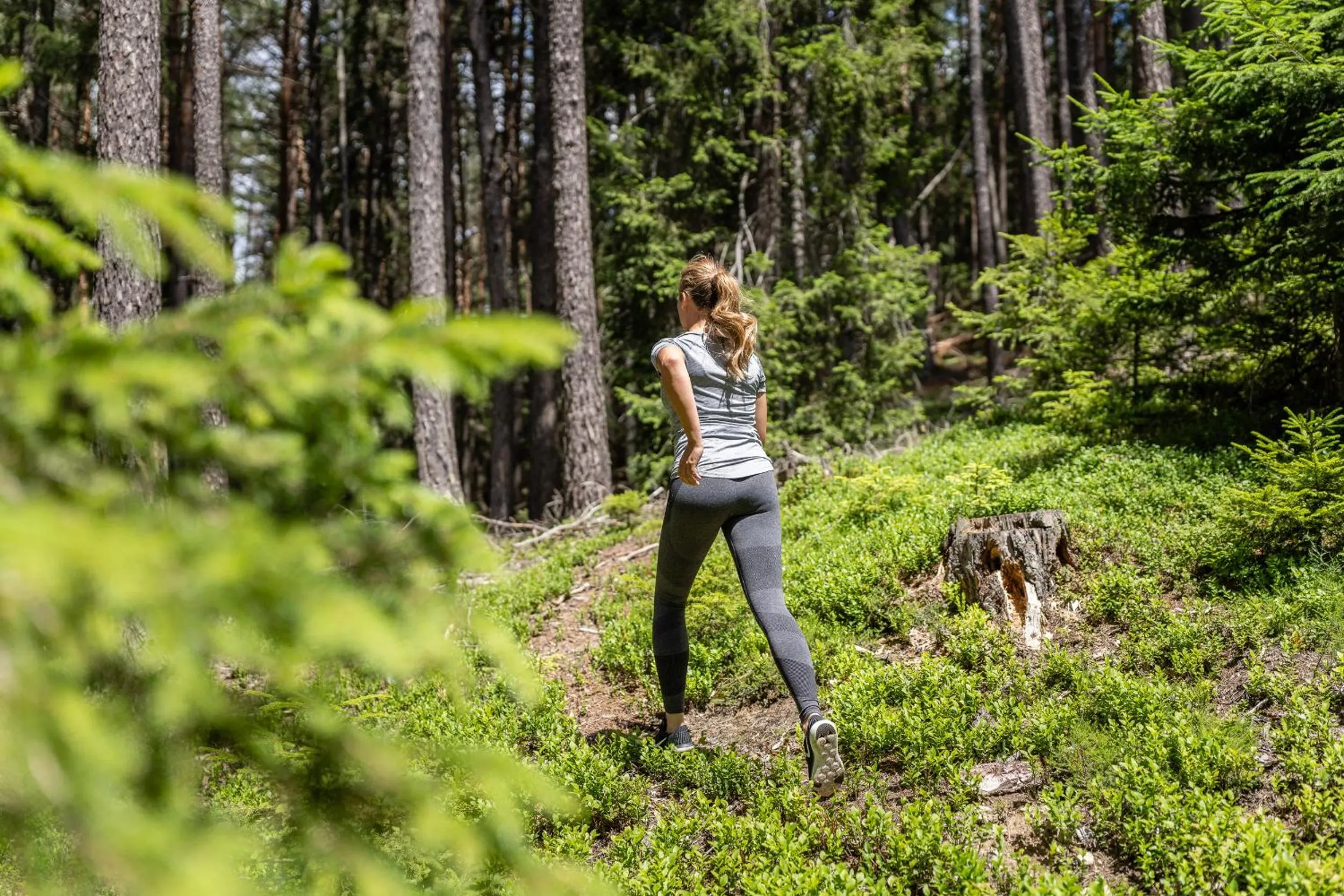 Day in My Arbor - Dolomites