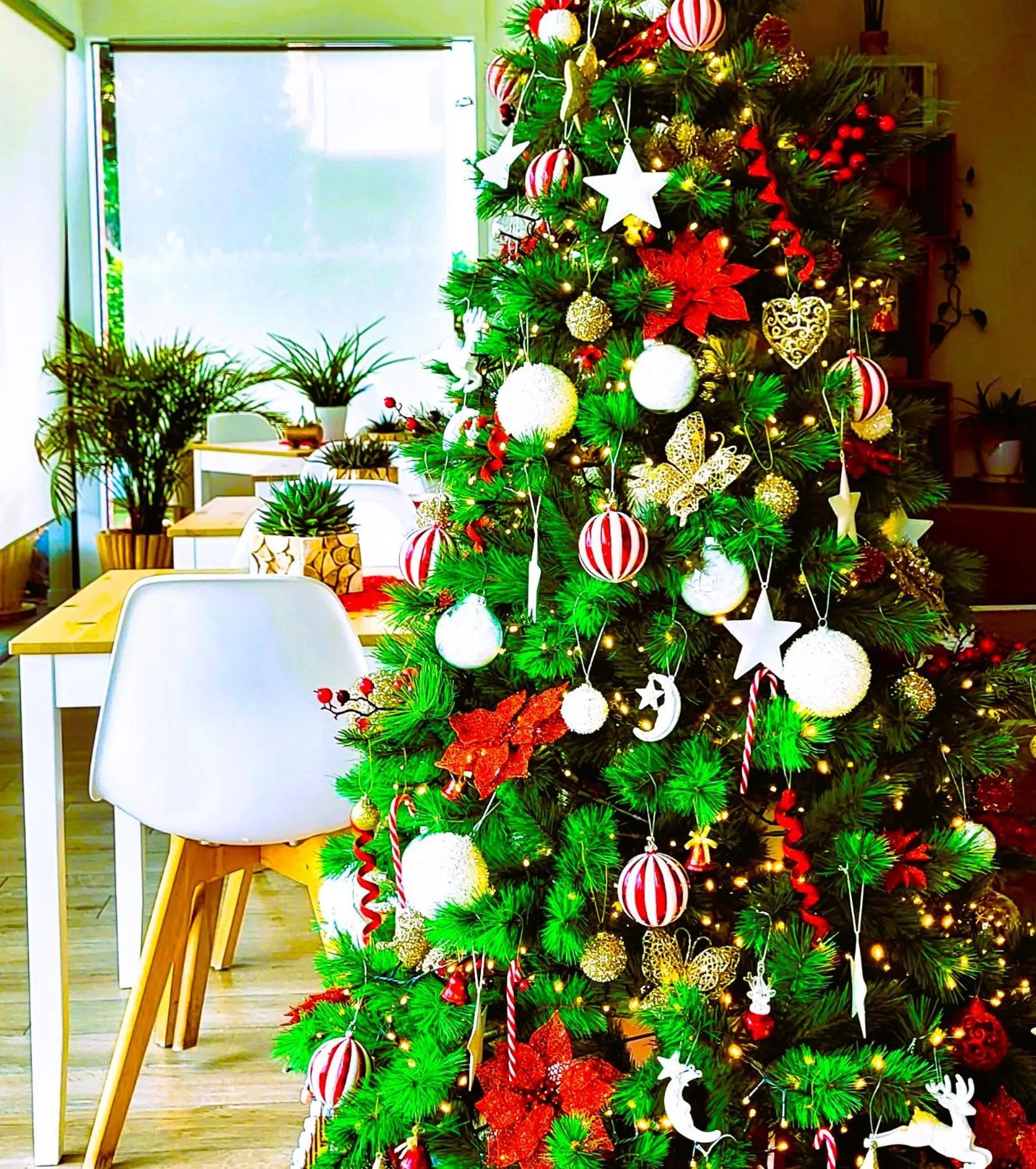 Winter in Stella del Garda