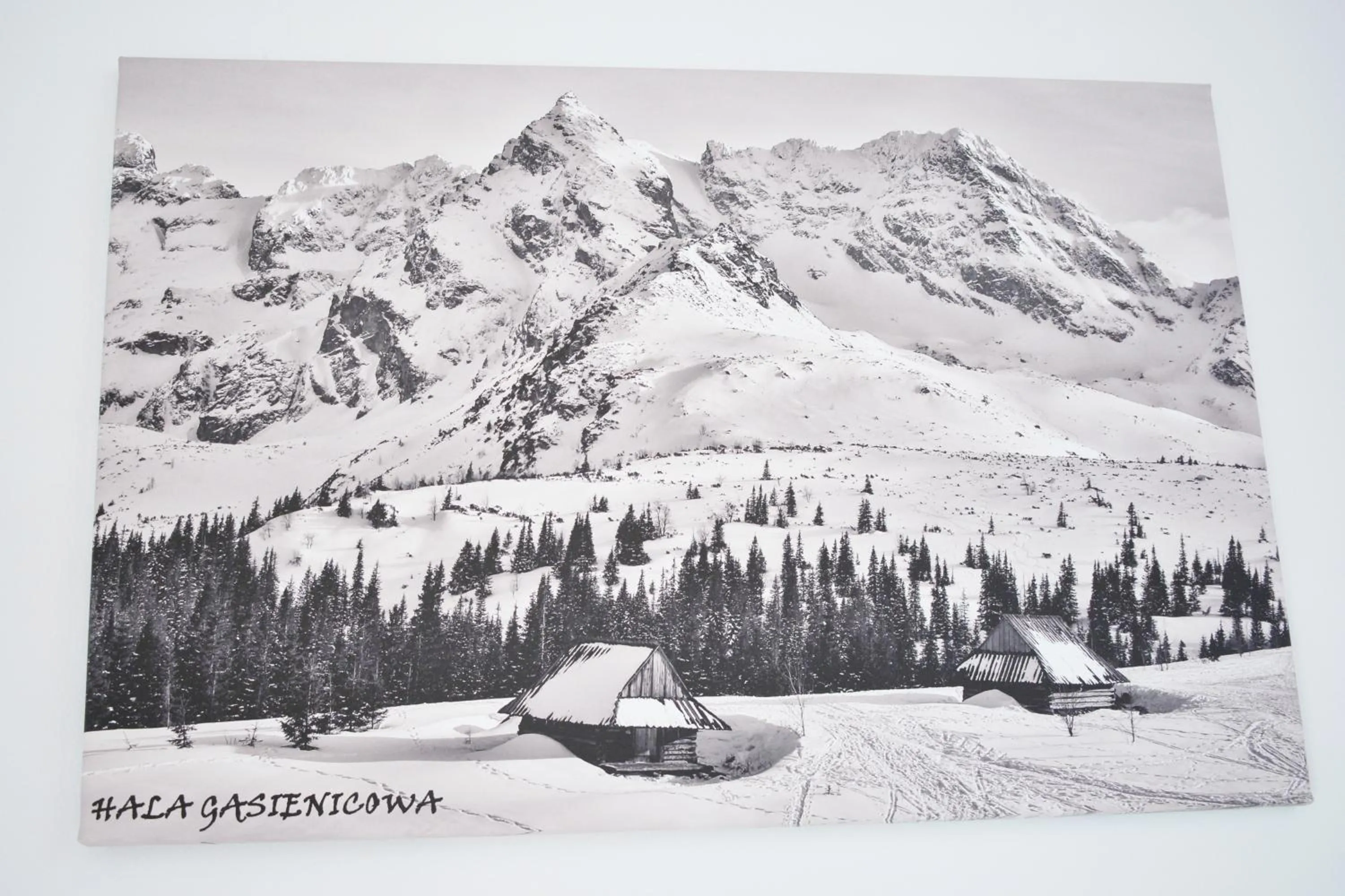 Decorative detail in Willa Halka