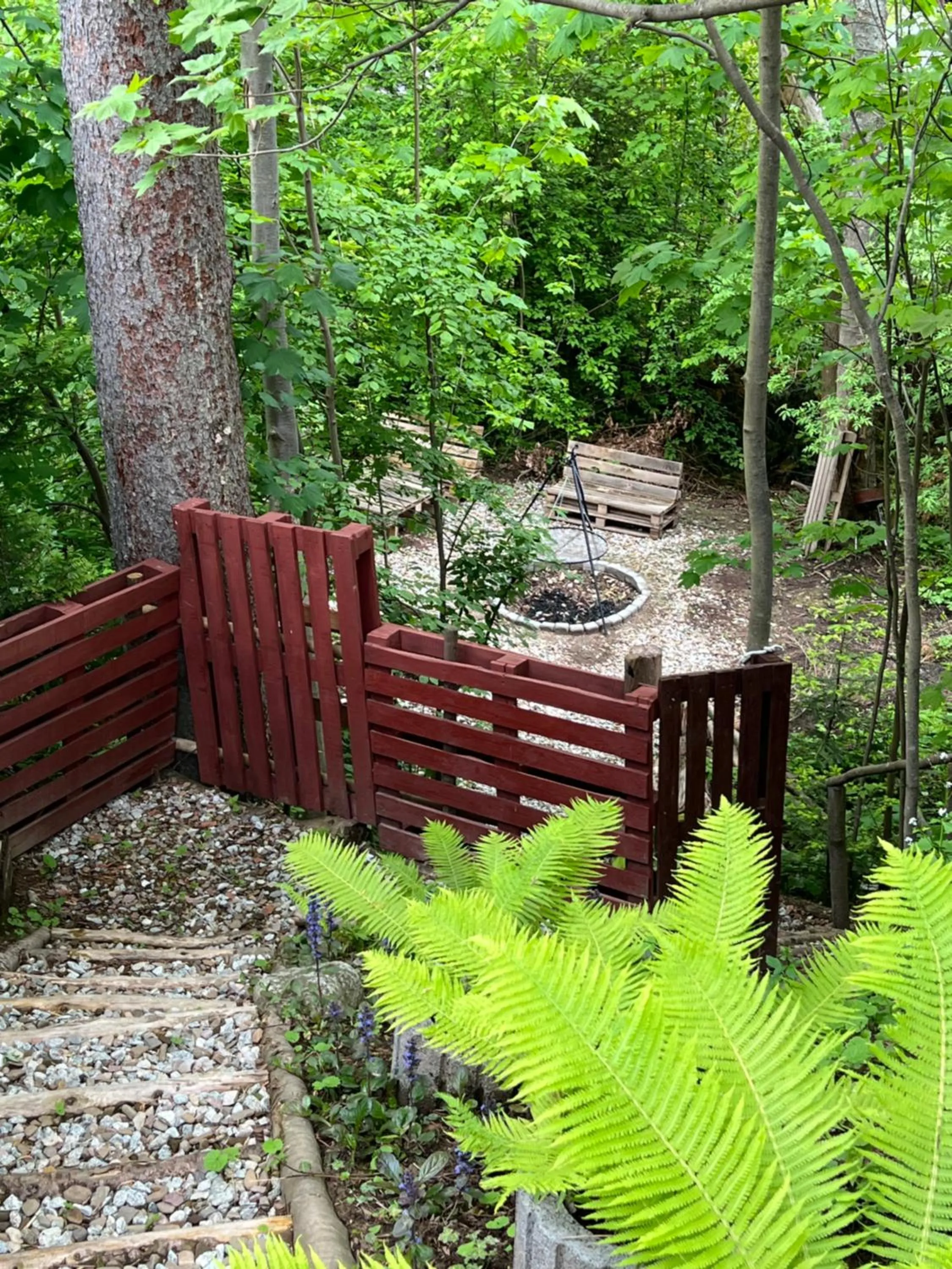 Spring in Willa Halka