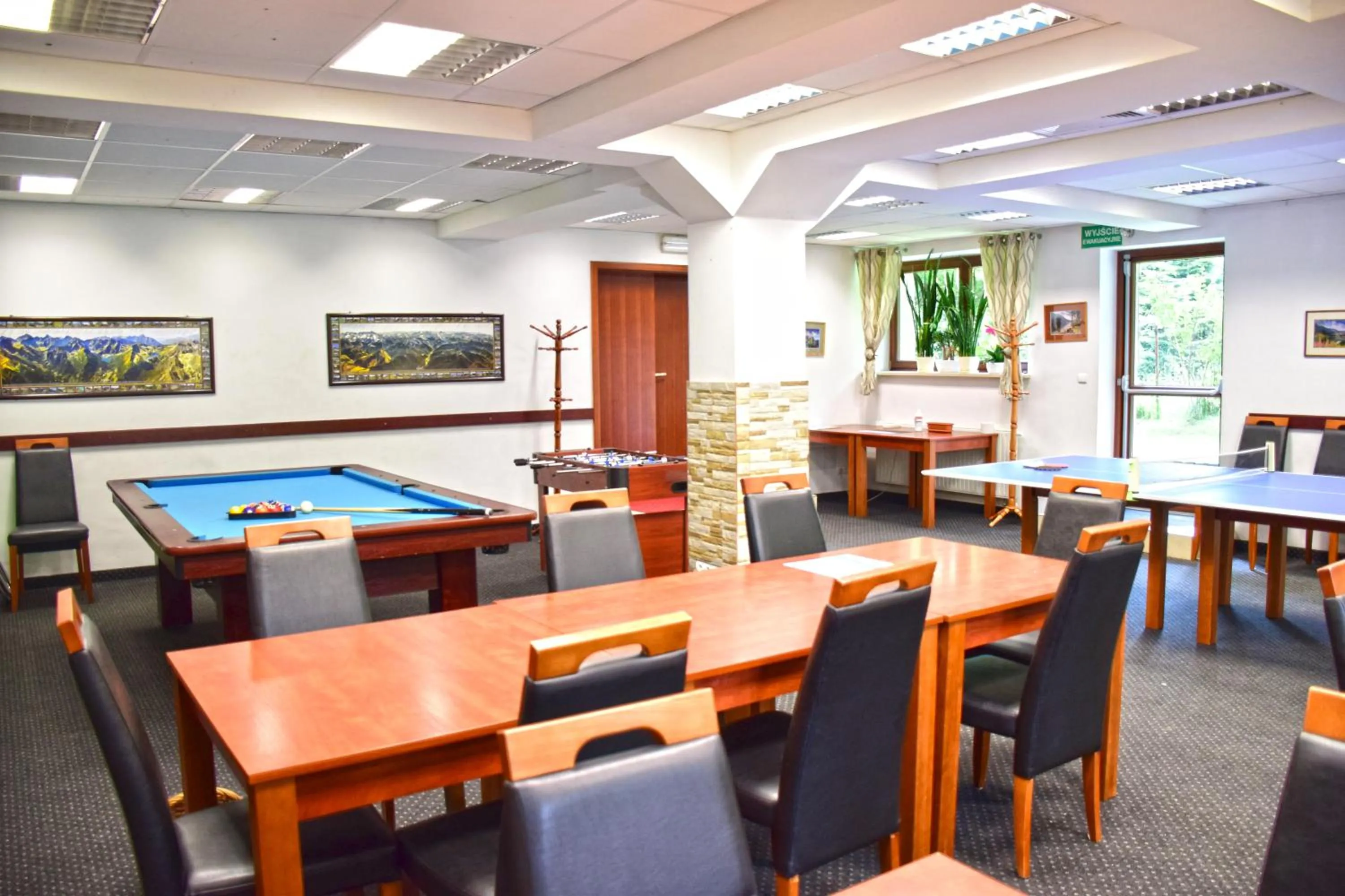 Billiard in Willa Halka