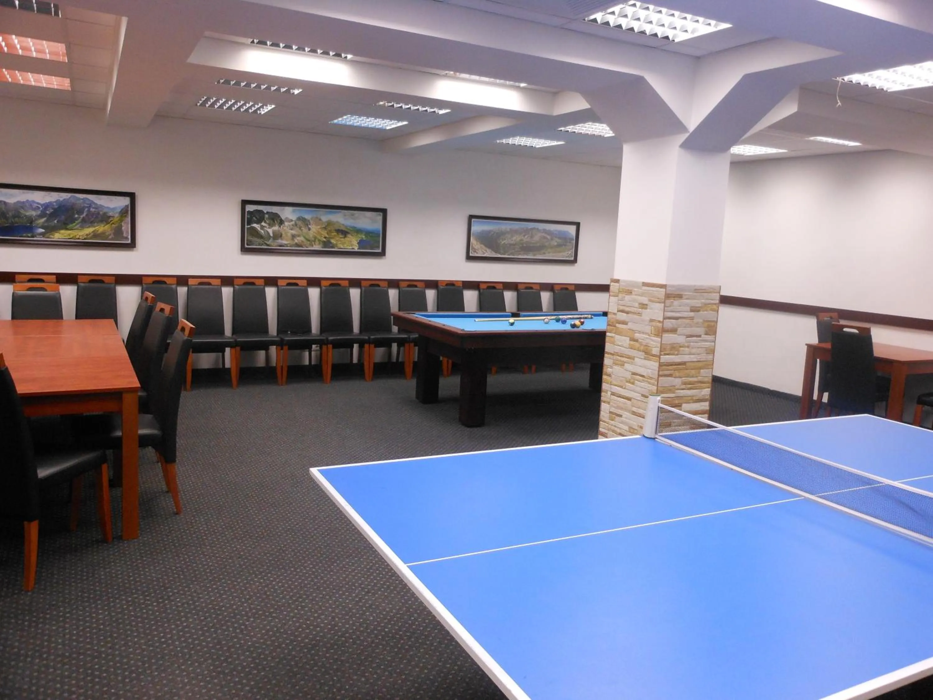 Billiard in Willa Halka