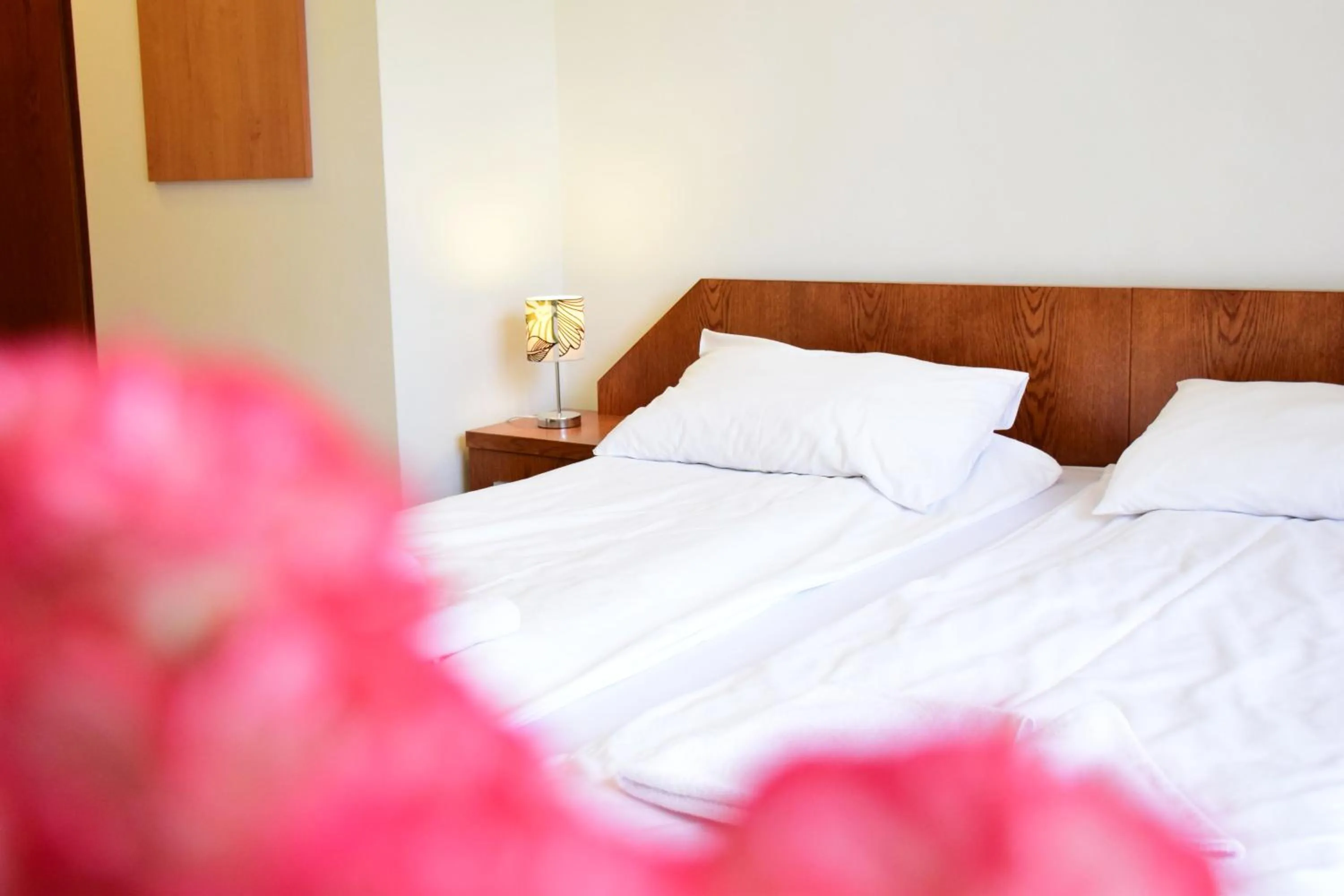 Photo of the whole room, Bed in Willa Halka