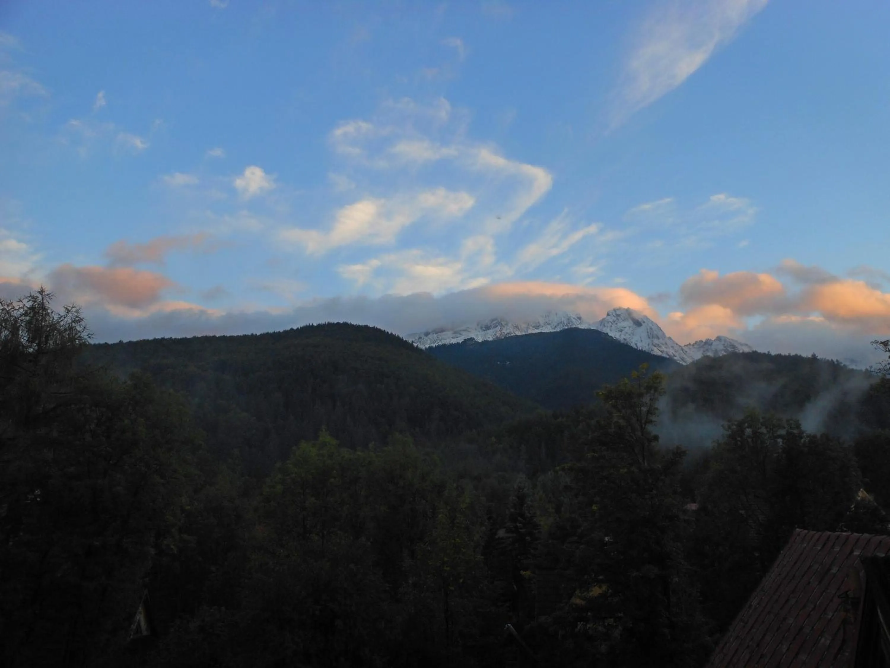 Off site in Willa Halka