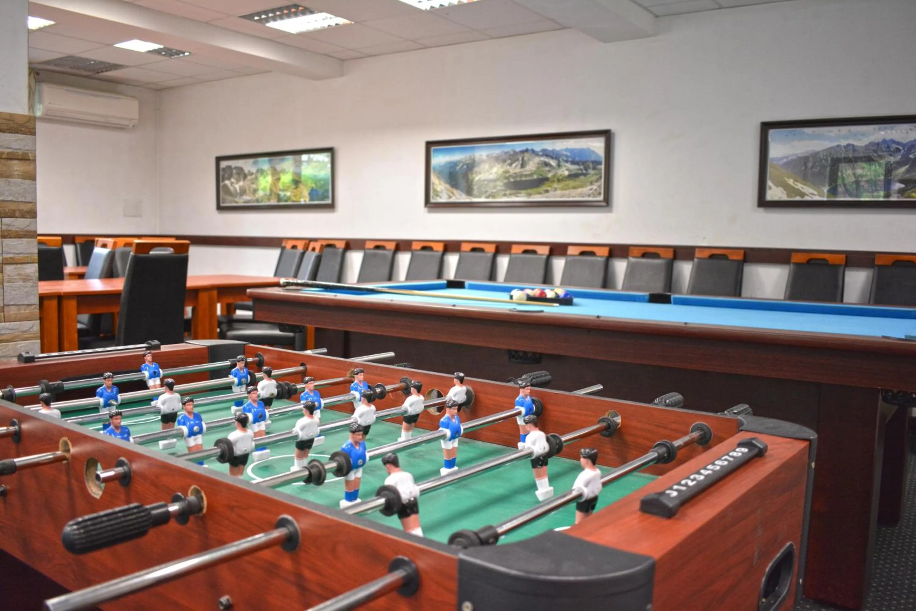 Billiard in Willa Halka