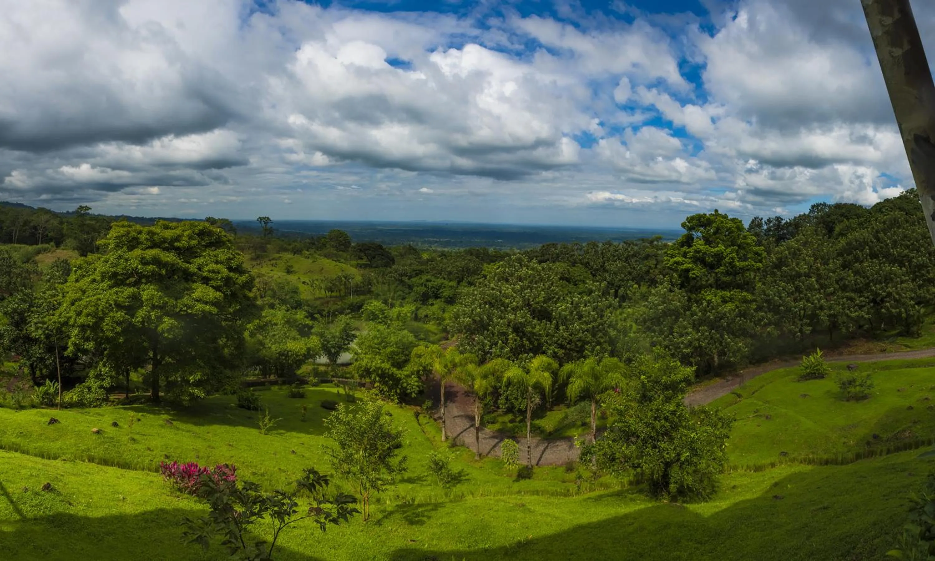 Garden view in Origins Lodge