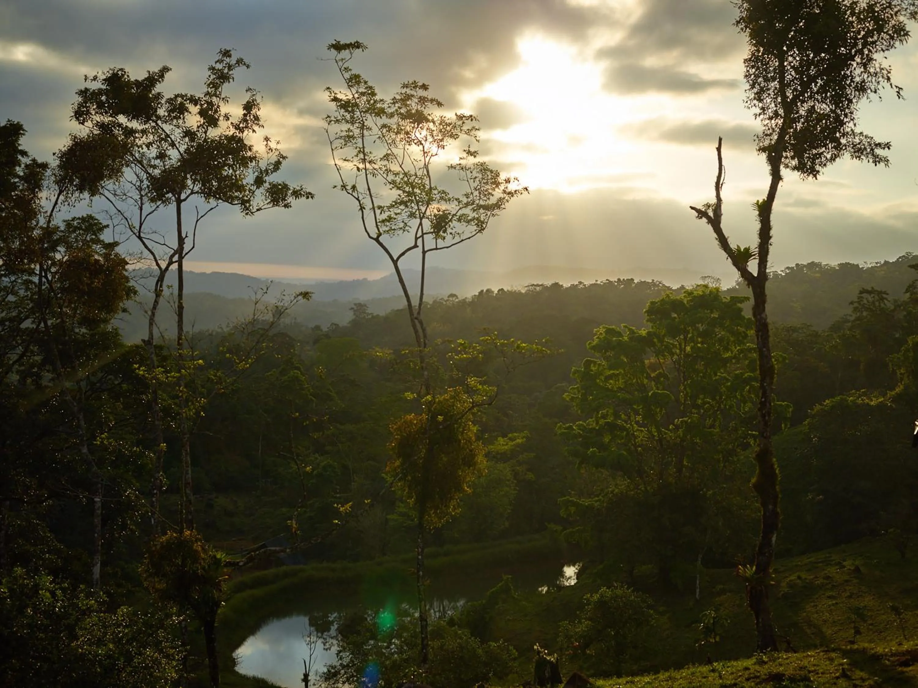 Garden view in Origins Lodge