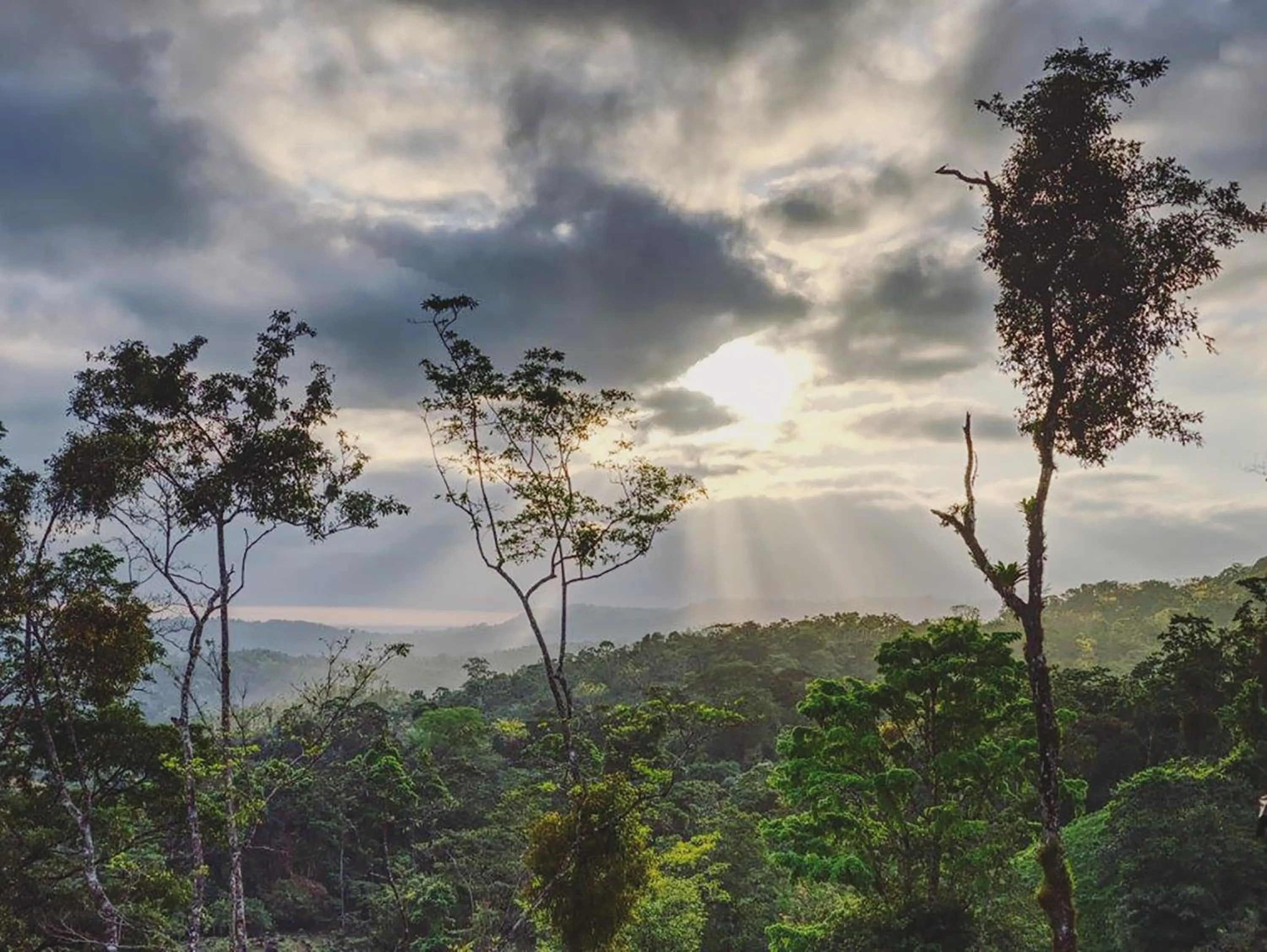 Garden view in Origins Lodge