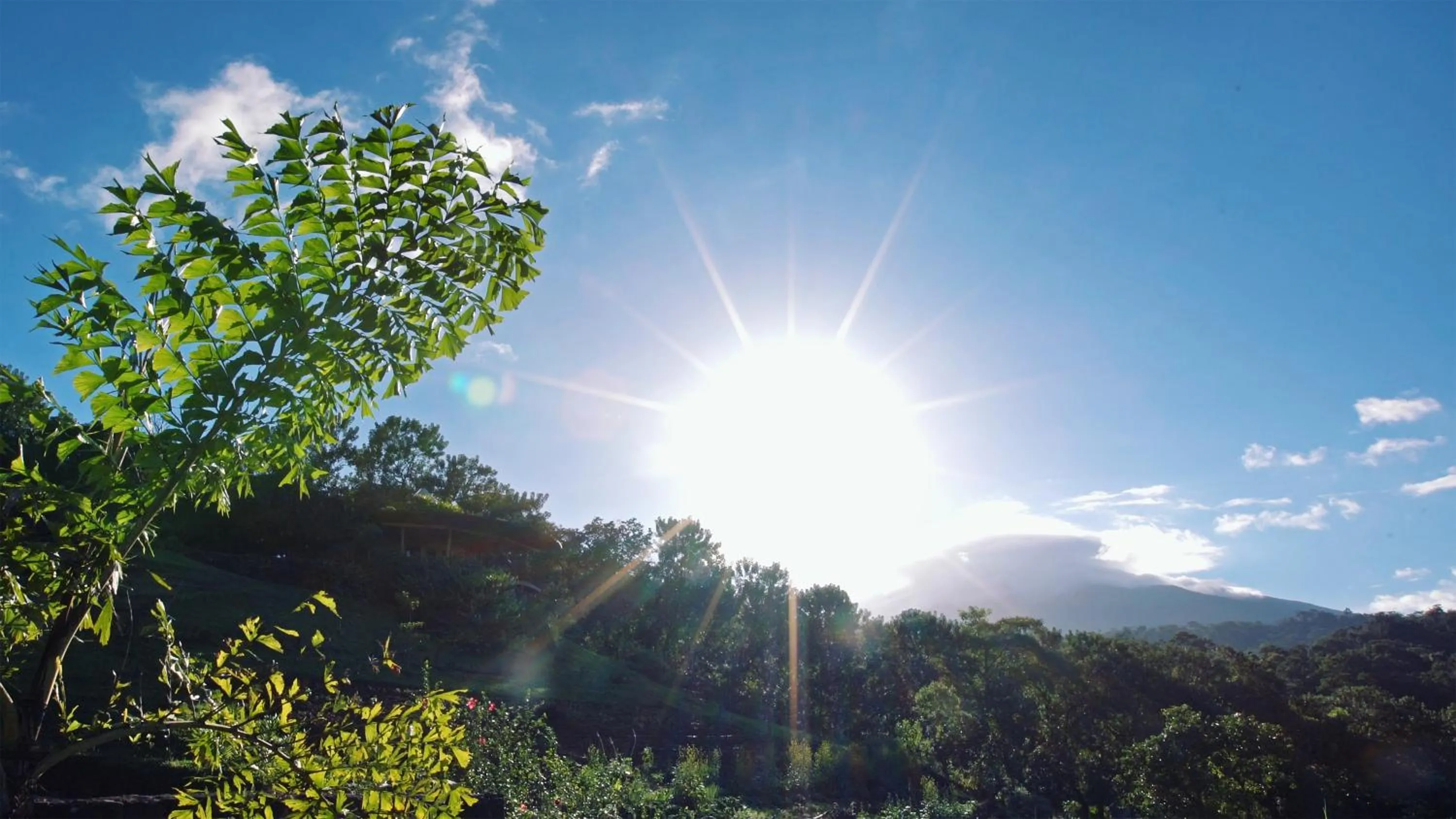Garden view in Origins Lodge