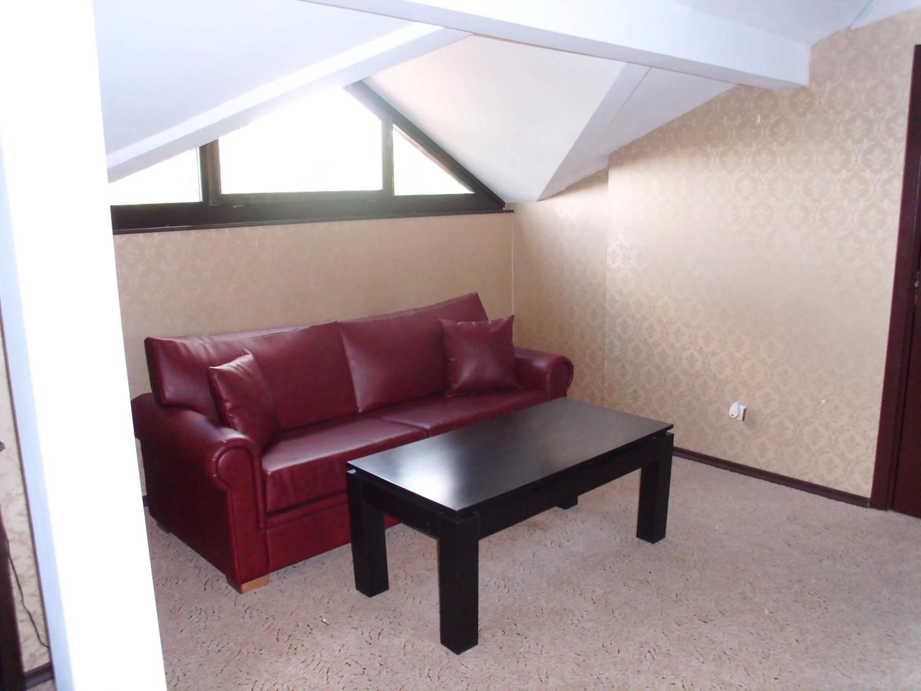 Living room in Hotel Izvora 2