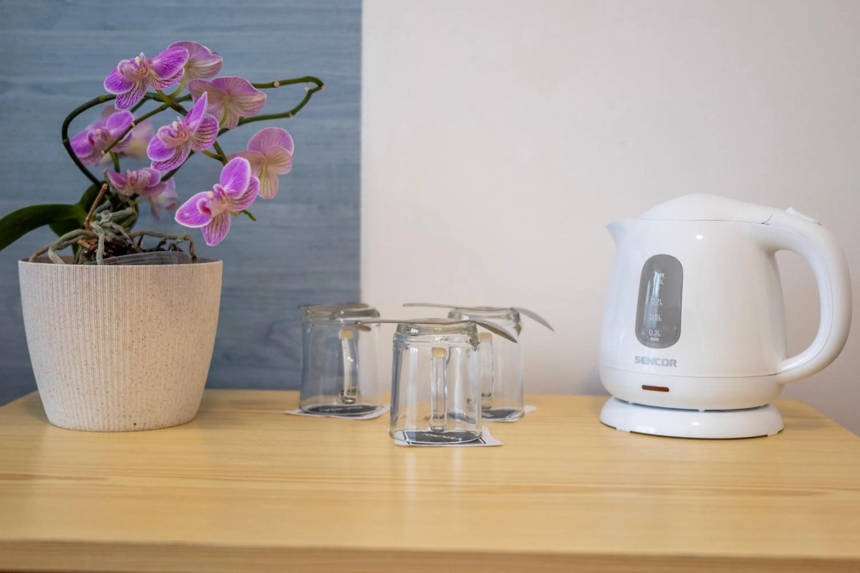 Other in Sport Hotel Gejzirpark