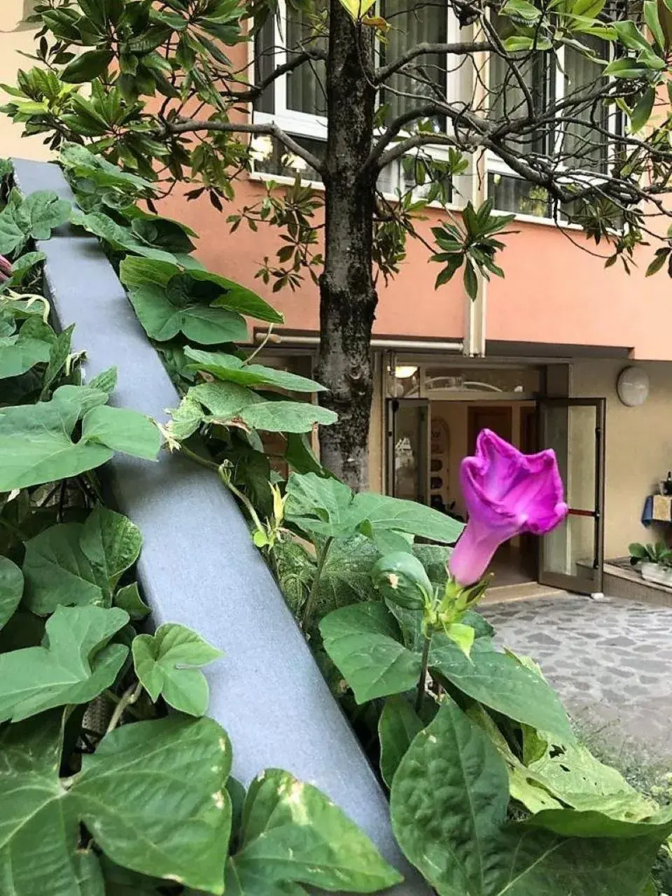 Property building in Hotel President Property building in Hotel President