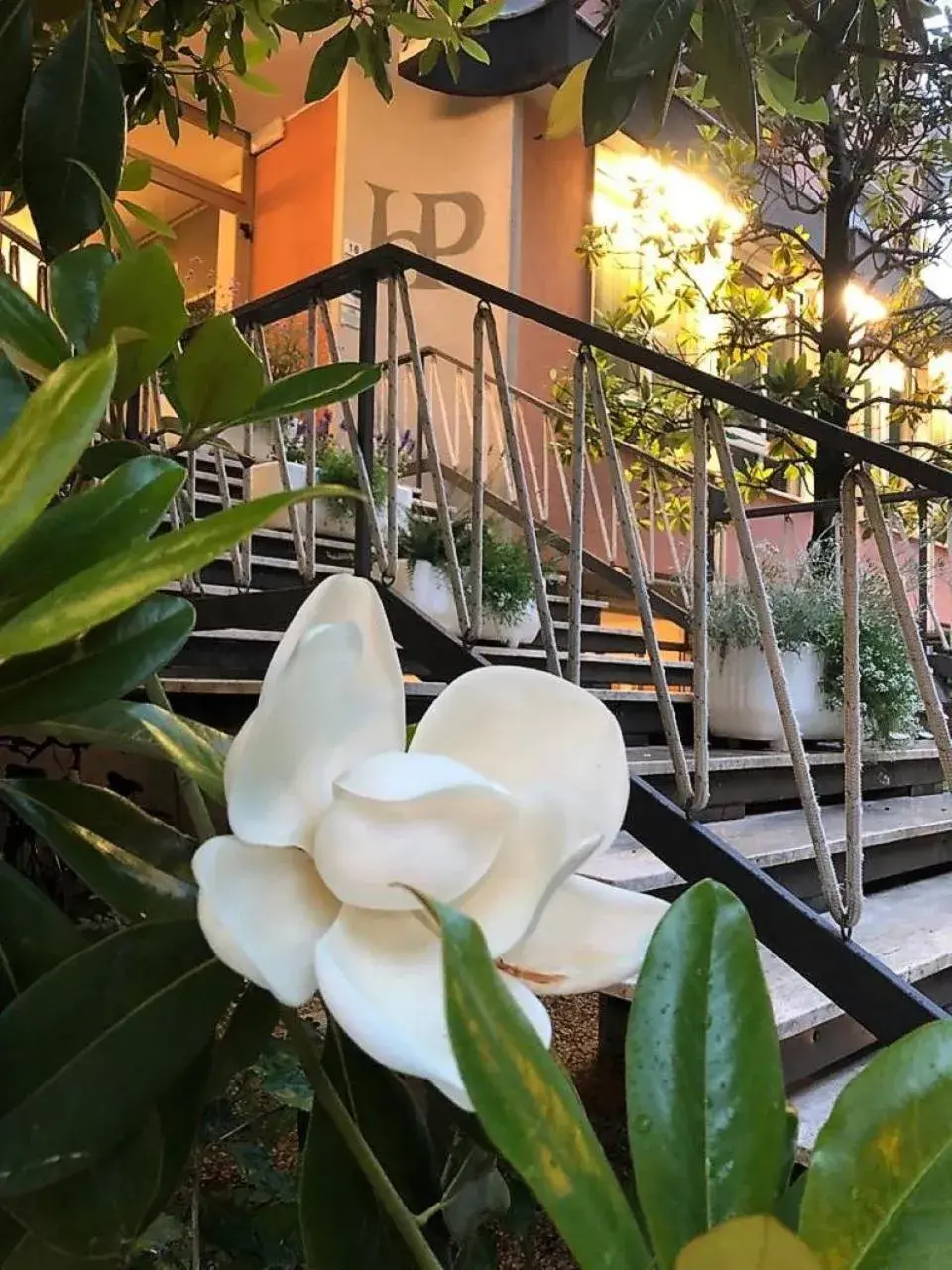 Property building in Hotel President Property building in Hotel President