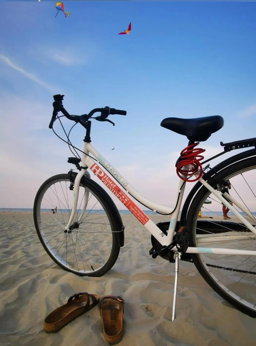 Beach in Hotel President