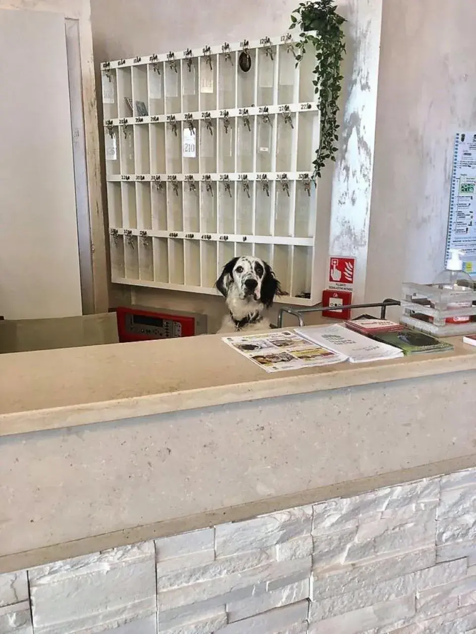 Lobby or reception in Hotel President Lobby or reception in Hotel President