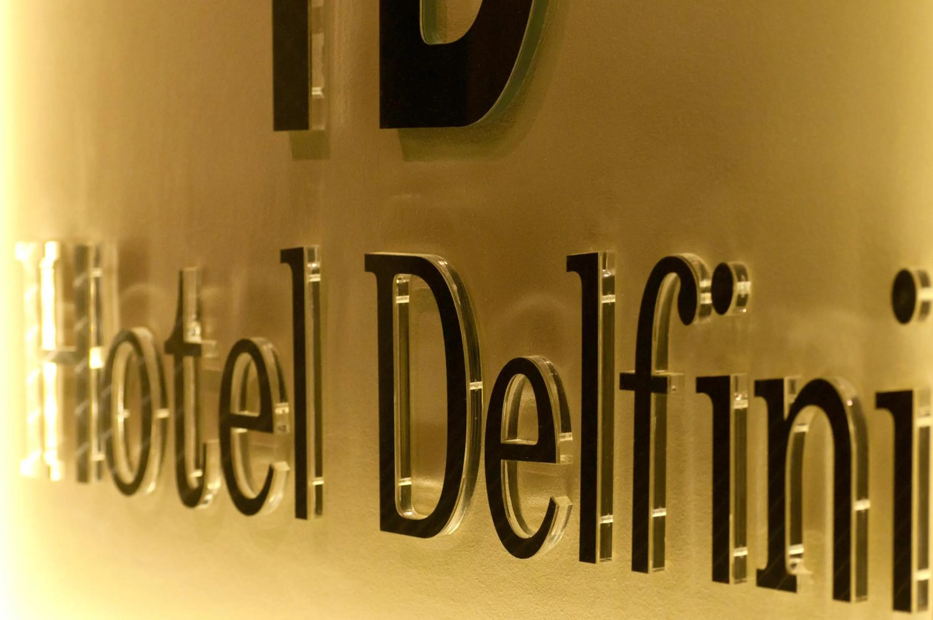 Property logo or sign in Hotel Delfini