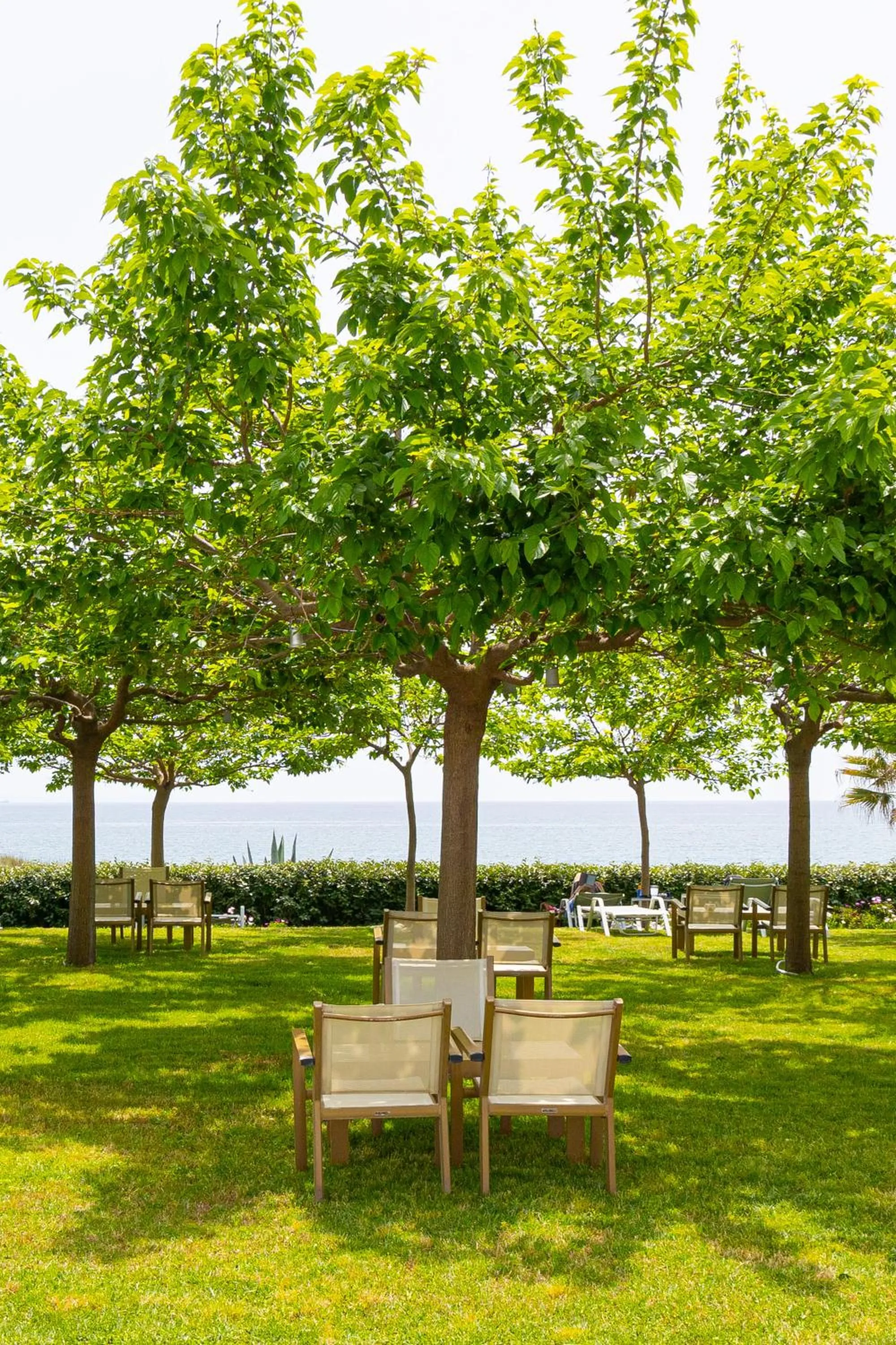 Garden in Castello Antico Hotel