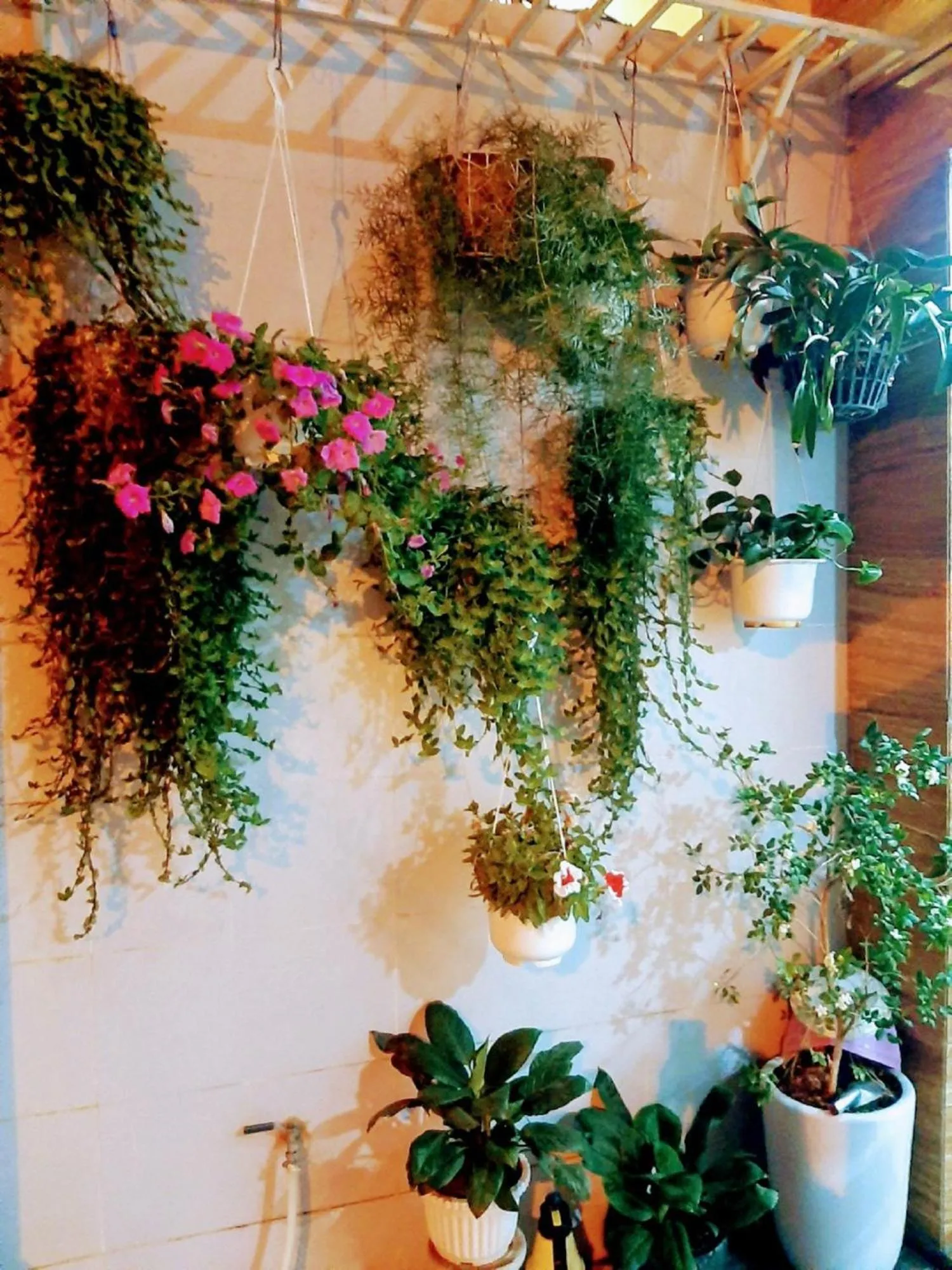 Area and facilities in Alibaba