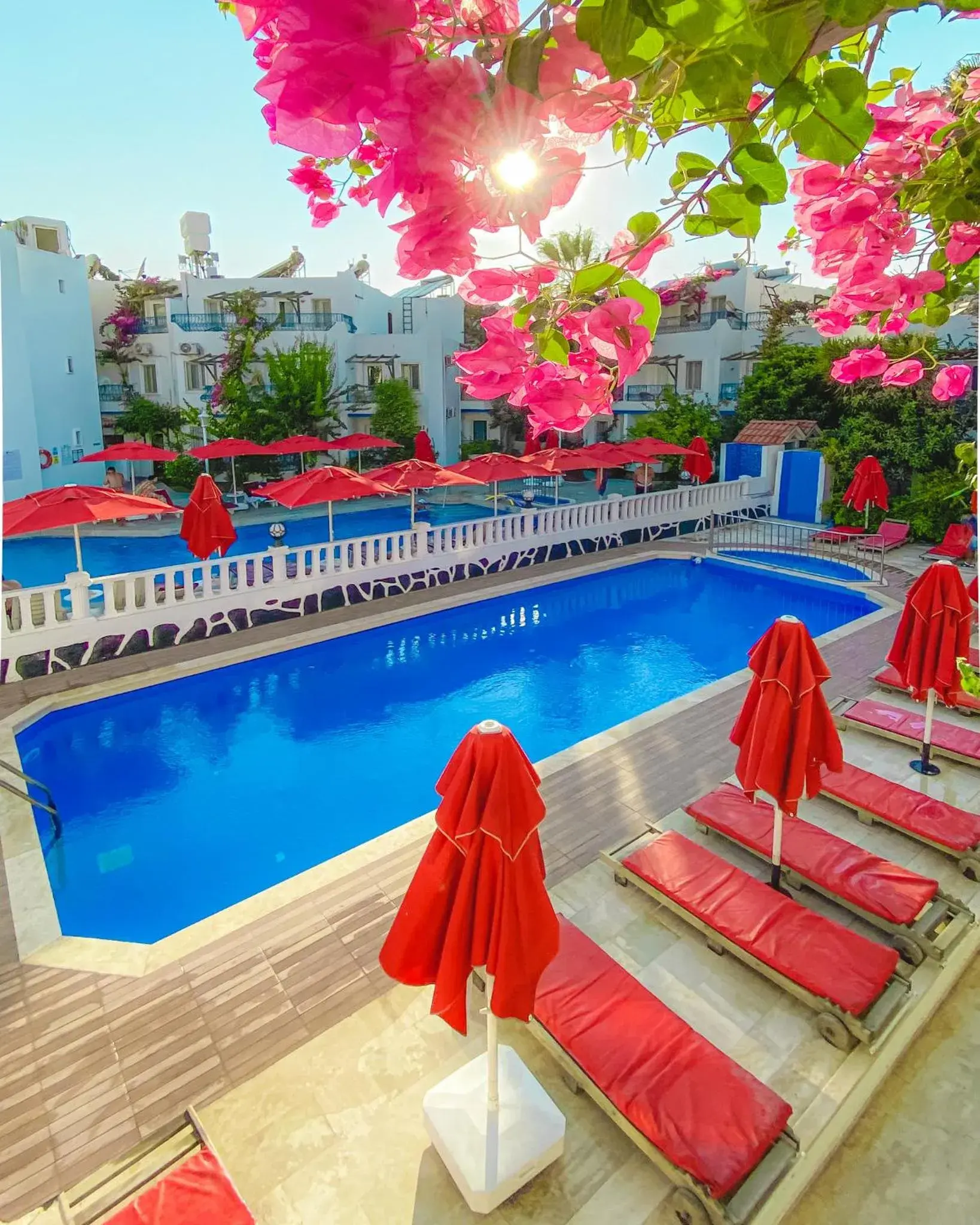Pool view in The Hello Hotel Pool view in The Hello Hotel