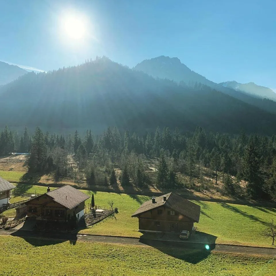 View (from property/room) in Hotel Restaurant Hammer